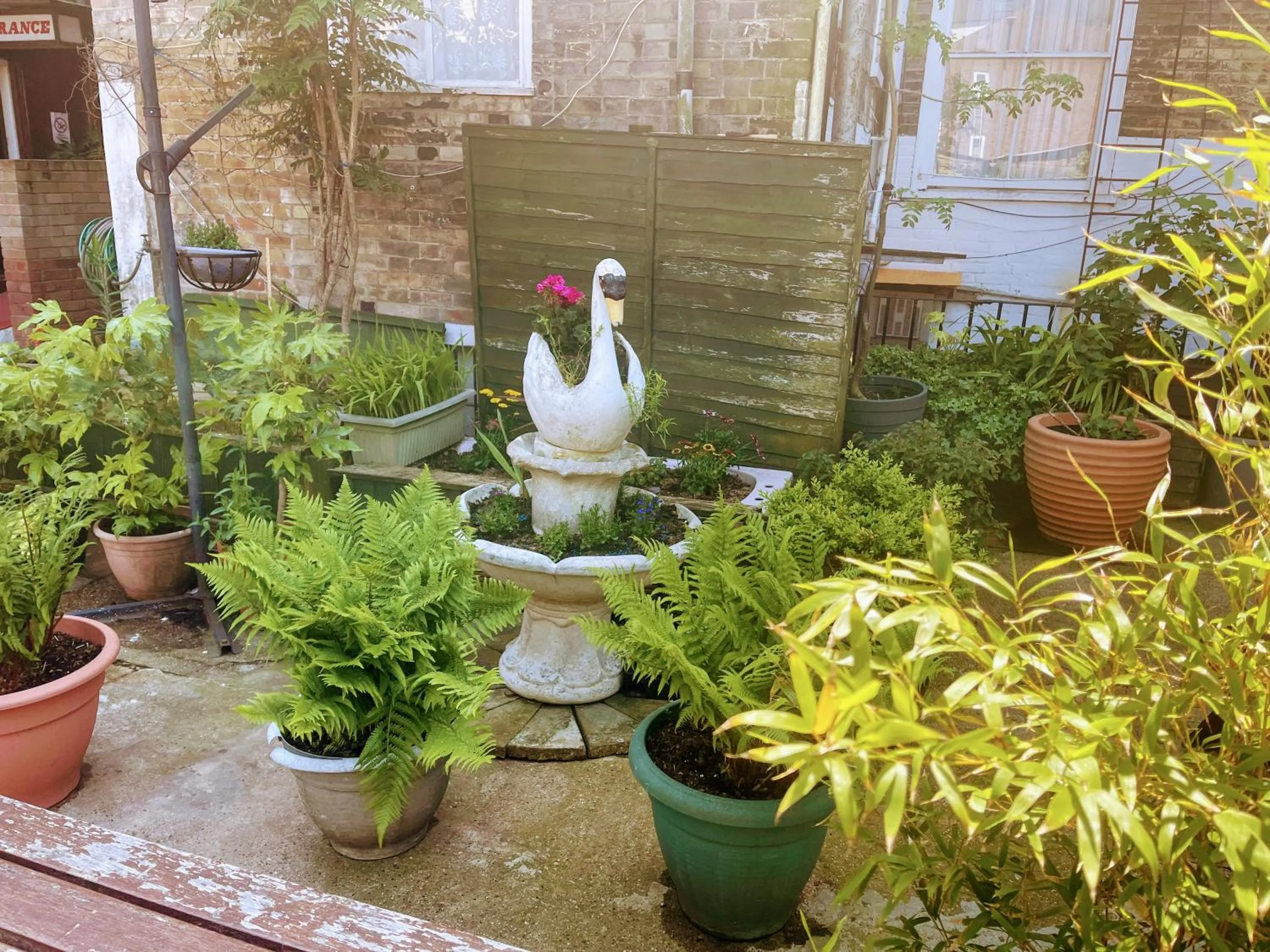 Garden in St George Hotel Great Yarmouth