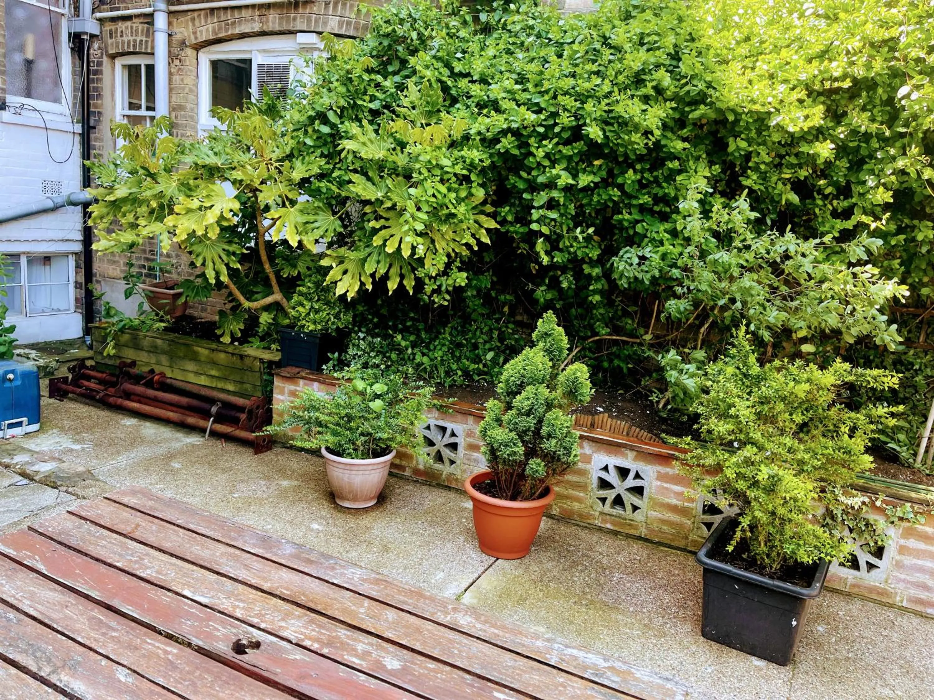 Garden in St George Hotel Great Yarmouth