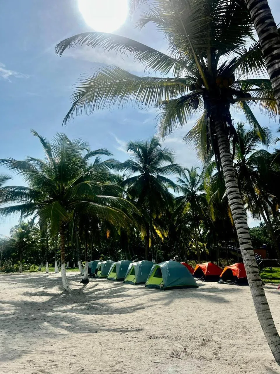 Natural landscape in CASA DE CAMPO CASTILLETE dentro del PARQUE TAYRONA