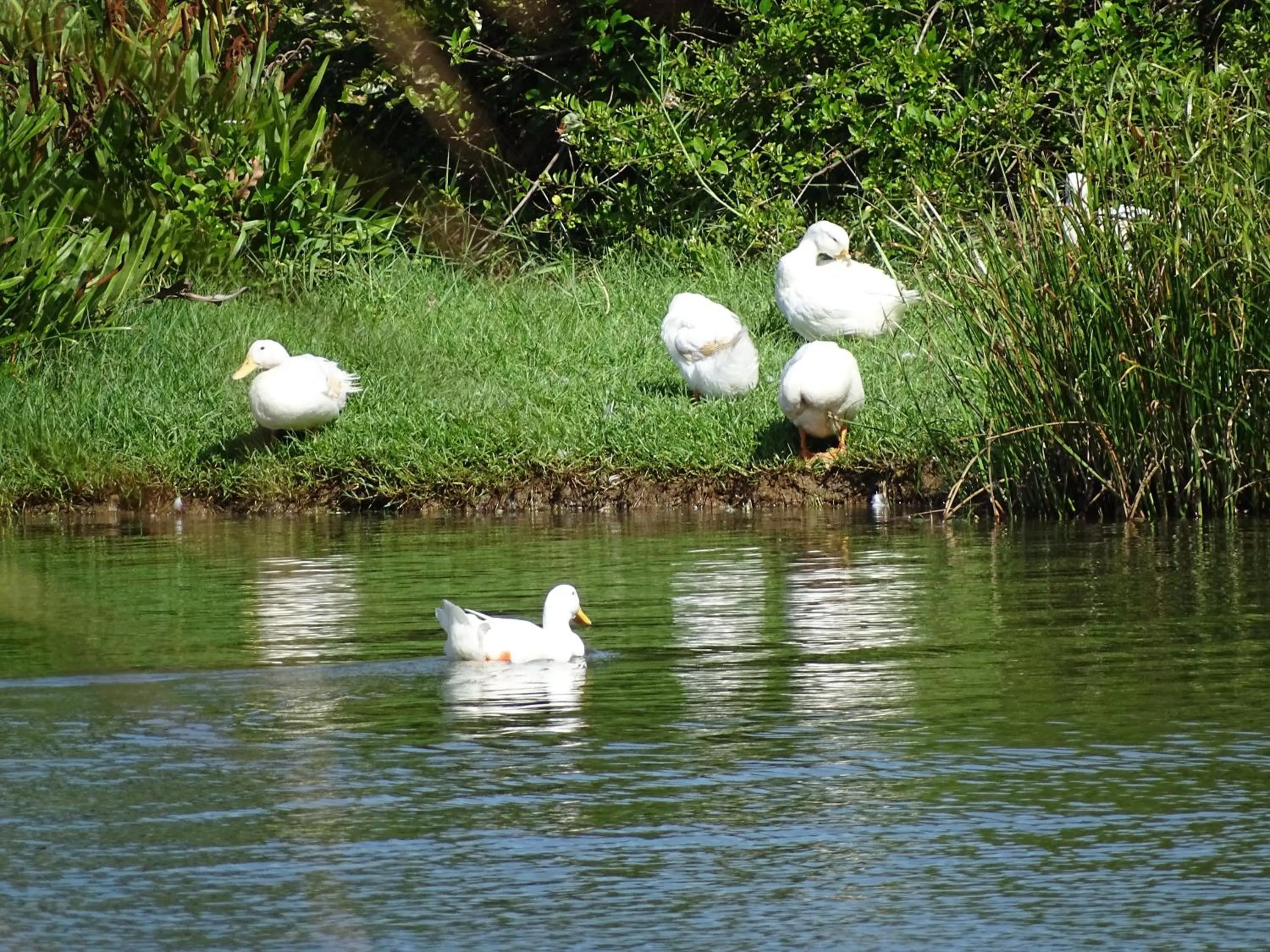 Day in Ylang Garden Villa