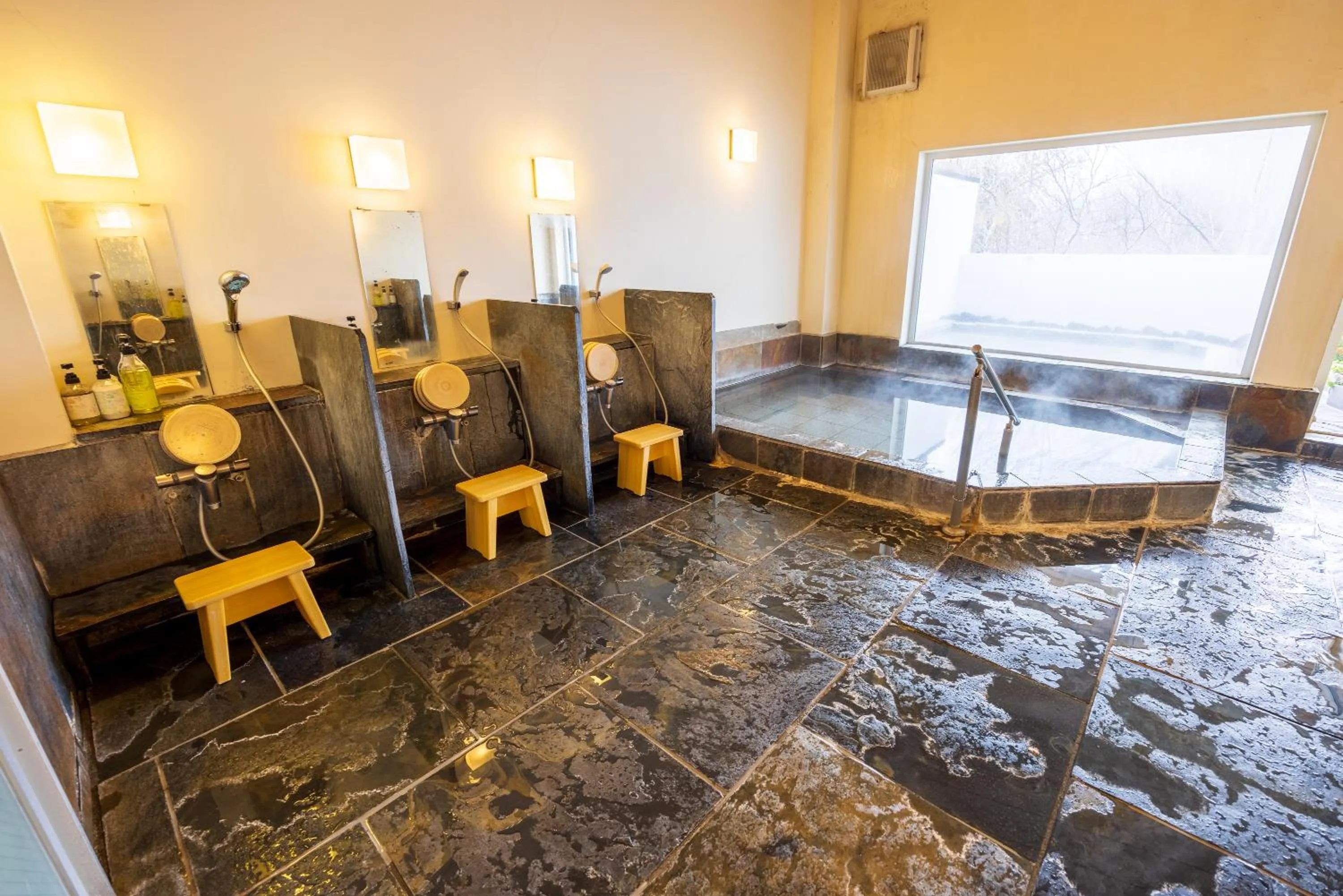 Public Bath in Sengokuhara Shinanoki Ichinoyu