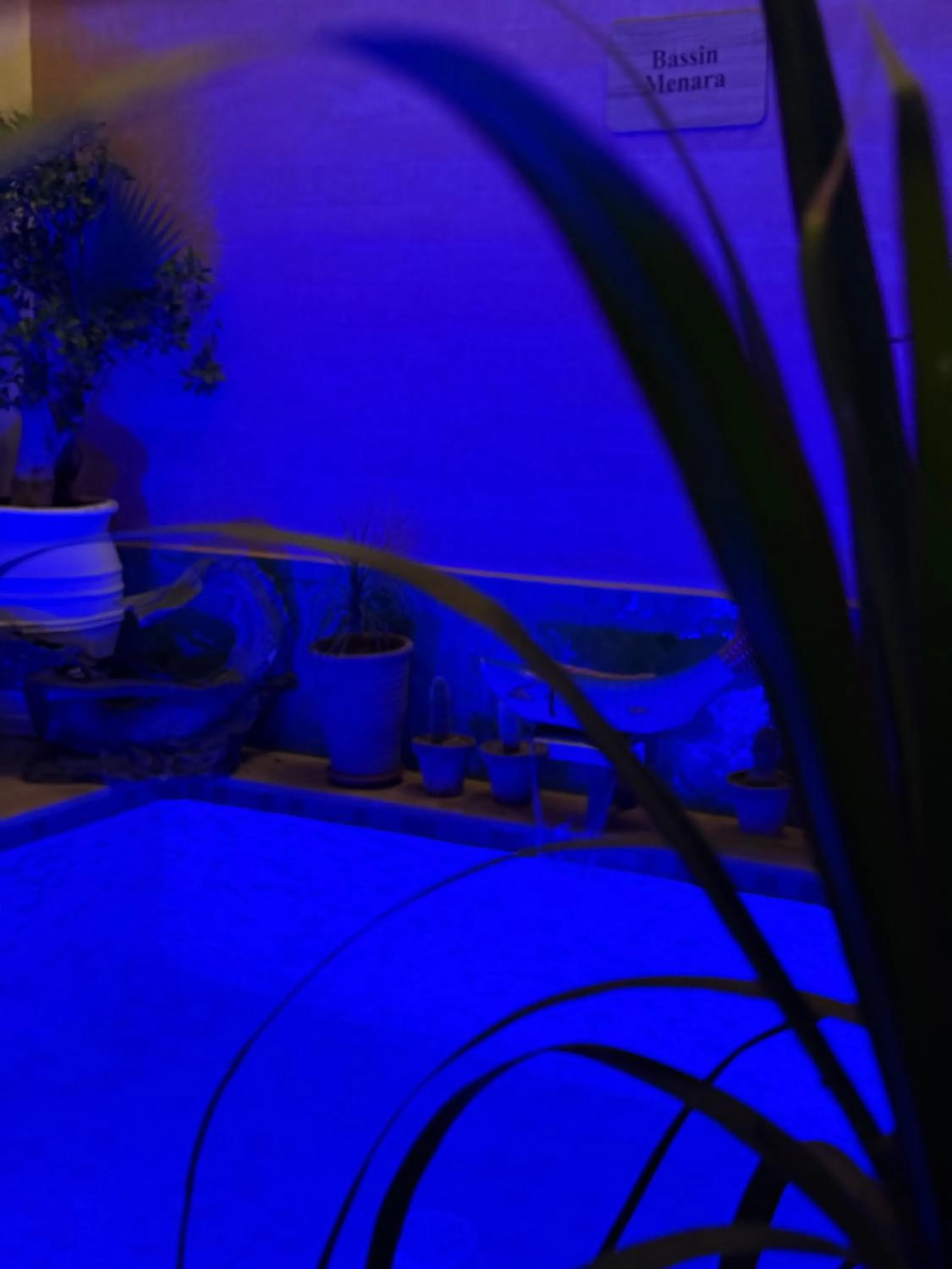 Swimming pool in Riad Atrium & Spa