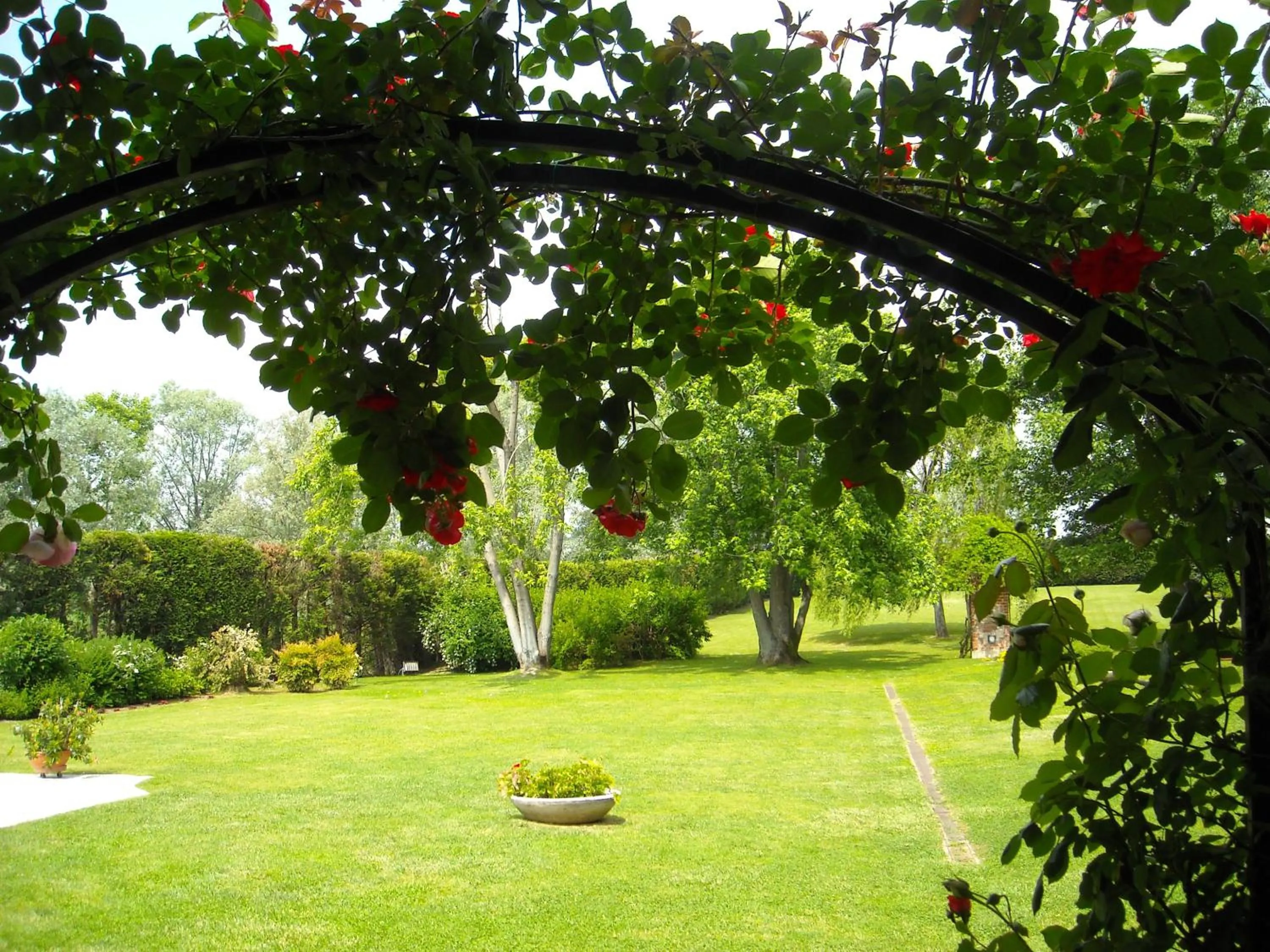 Garden in Torre dei Frati Bed & Breakfast