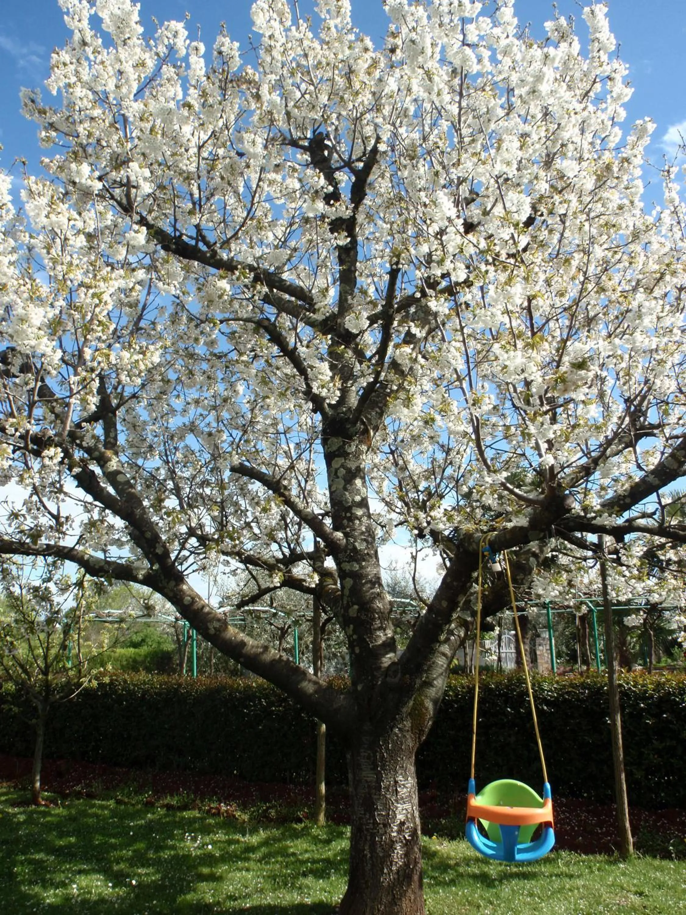 Spring in Apartmani Villa Otilija
