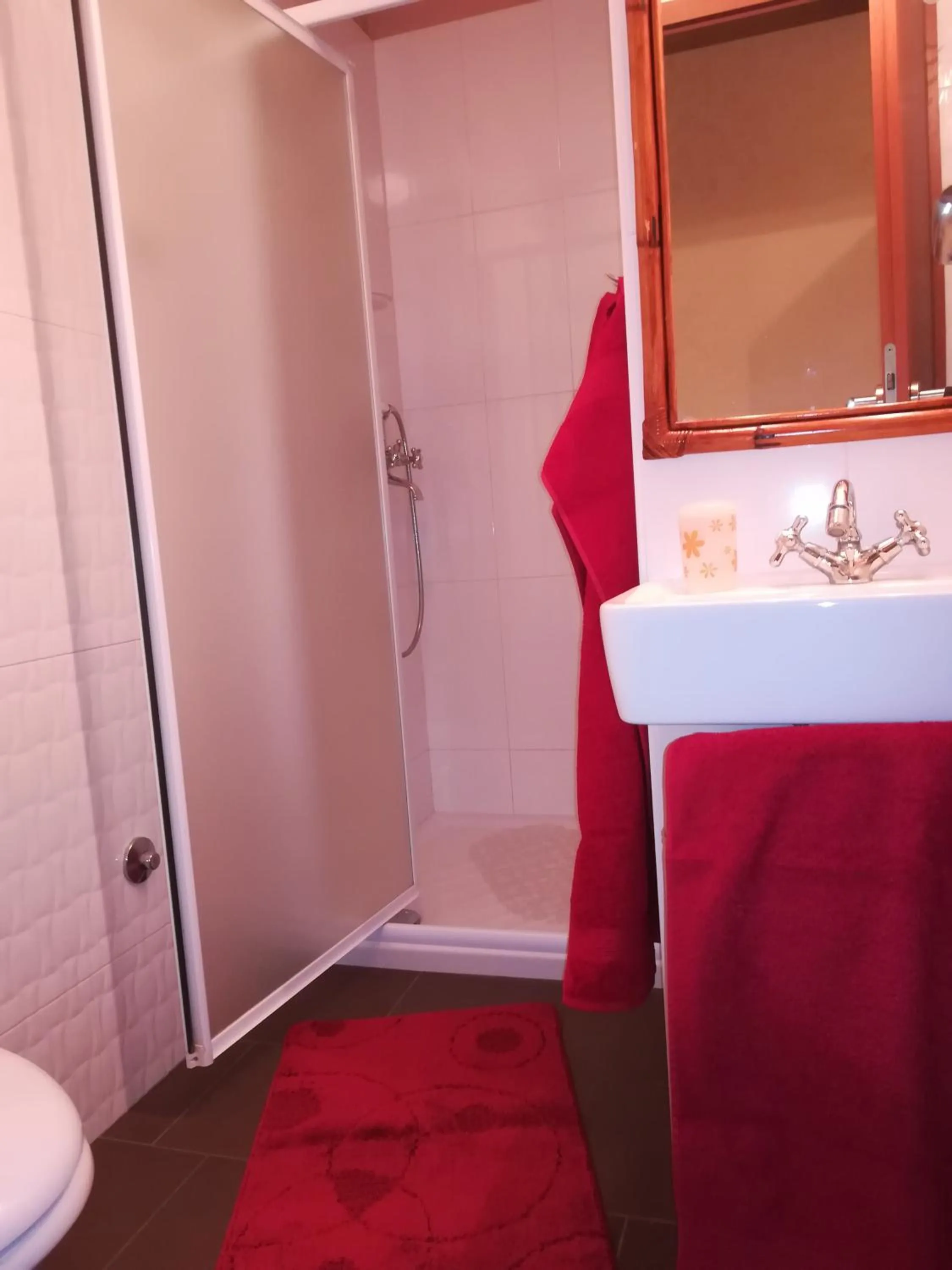 Shower in Apartmani Villa Otilija