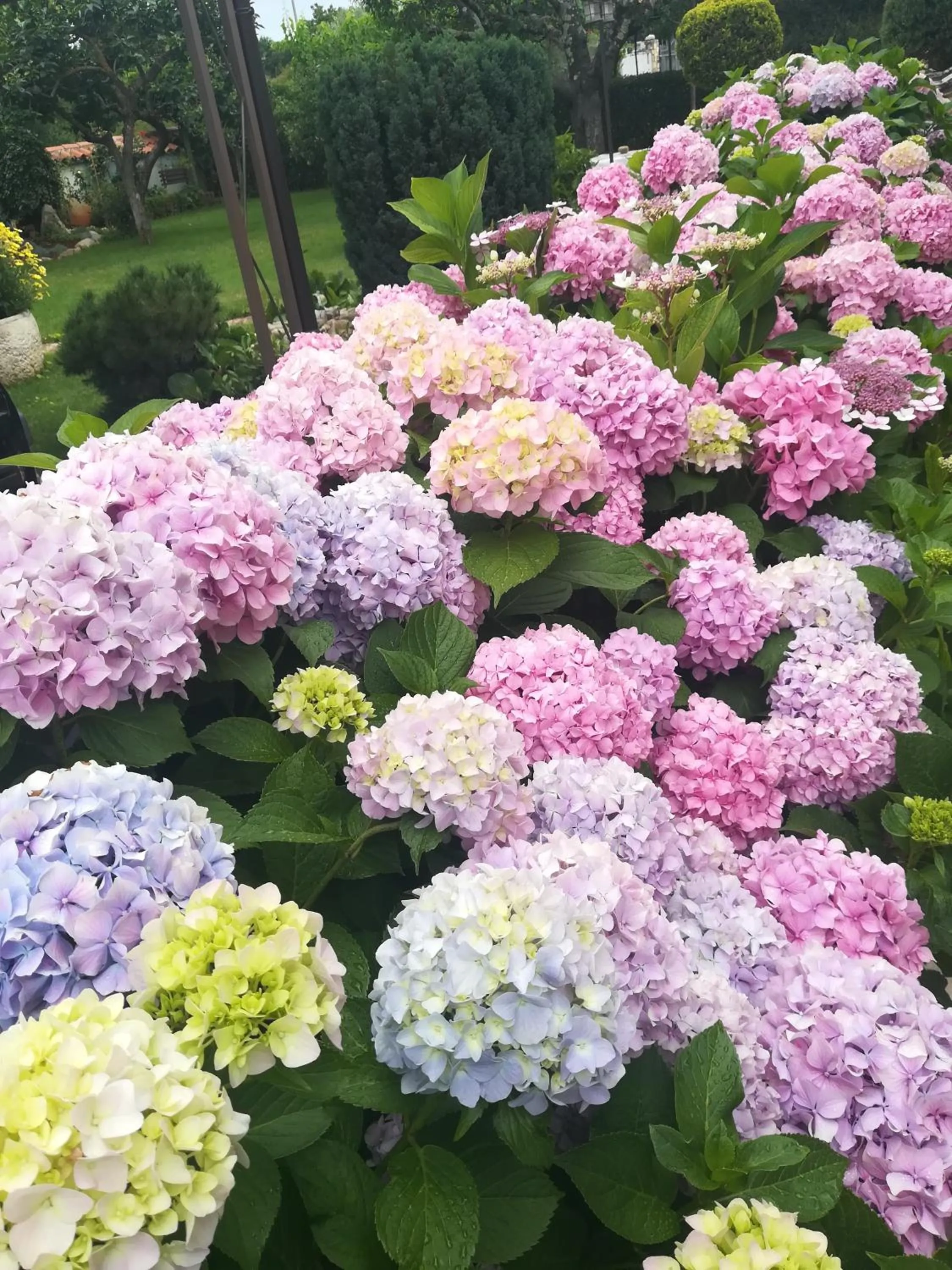Garden in Apartmani Villa Otilija