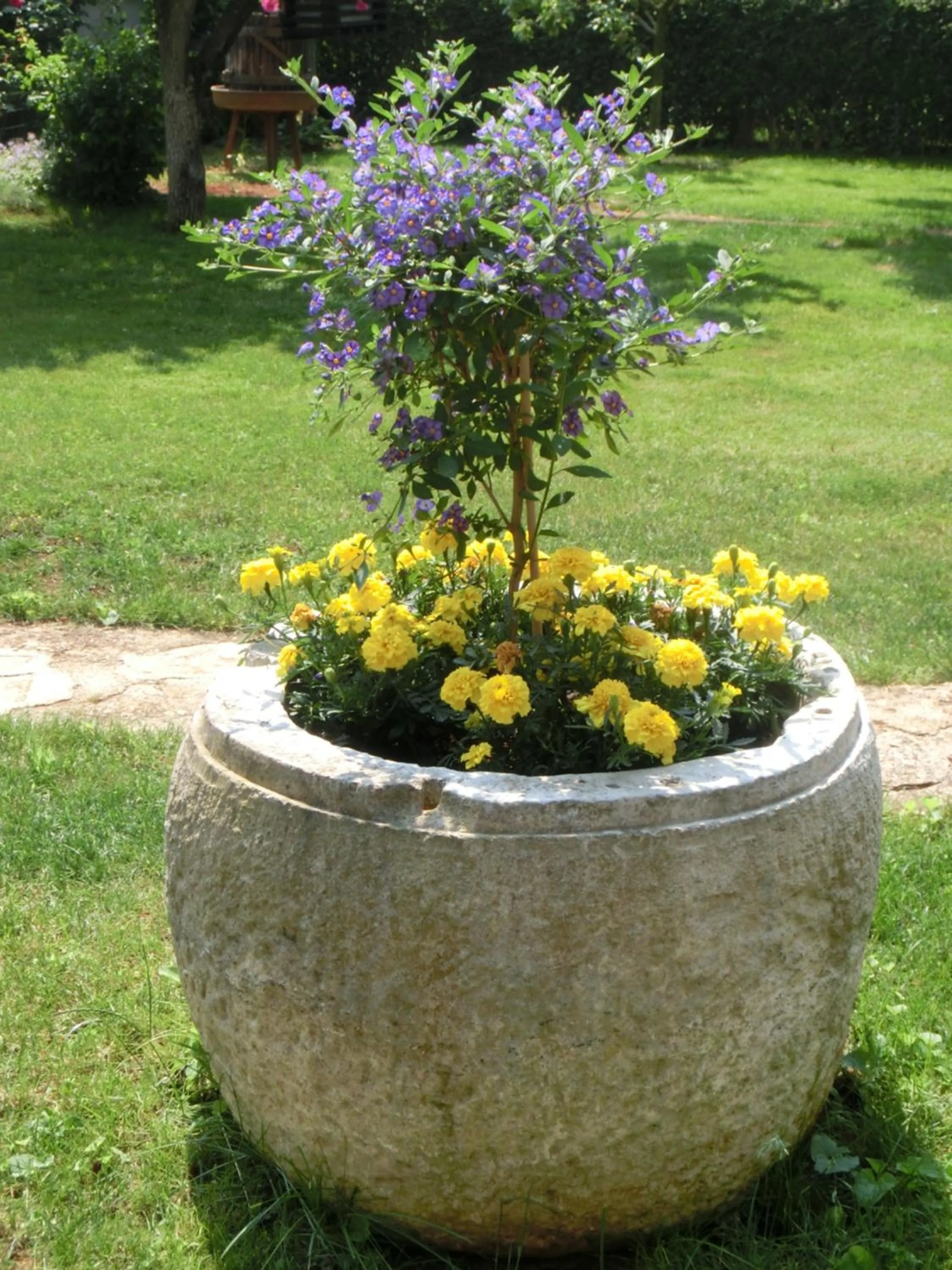 Garden in Apartmani Villa Otilija