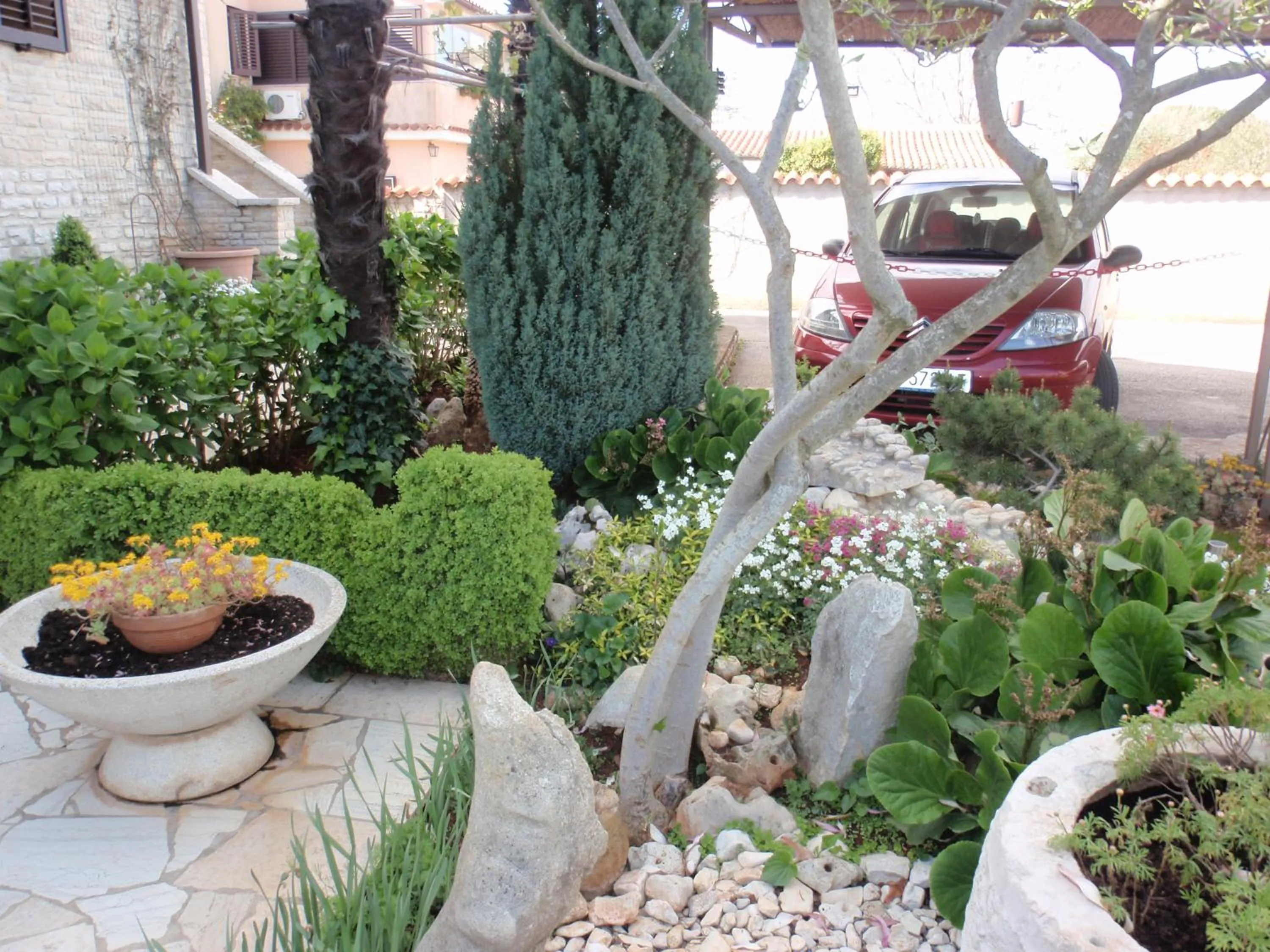 Area and facilities in Apartmani Villa Otilija