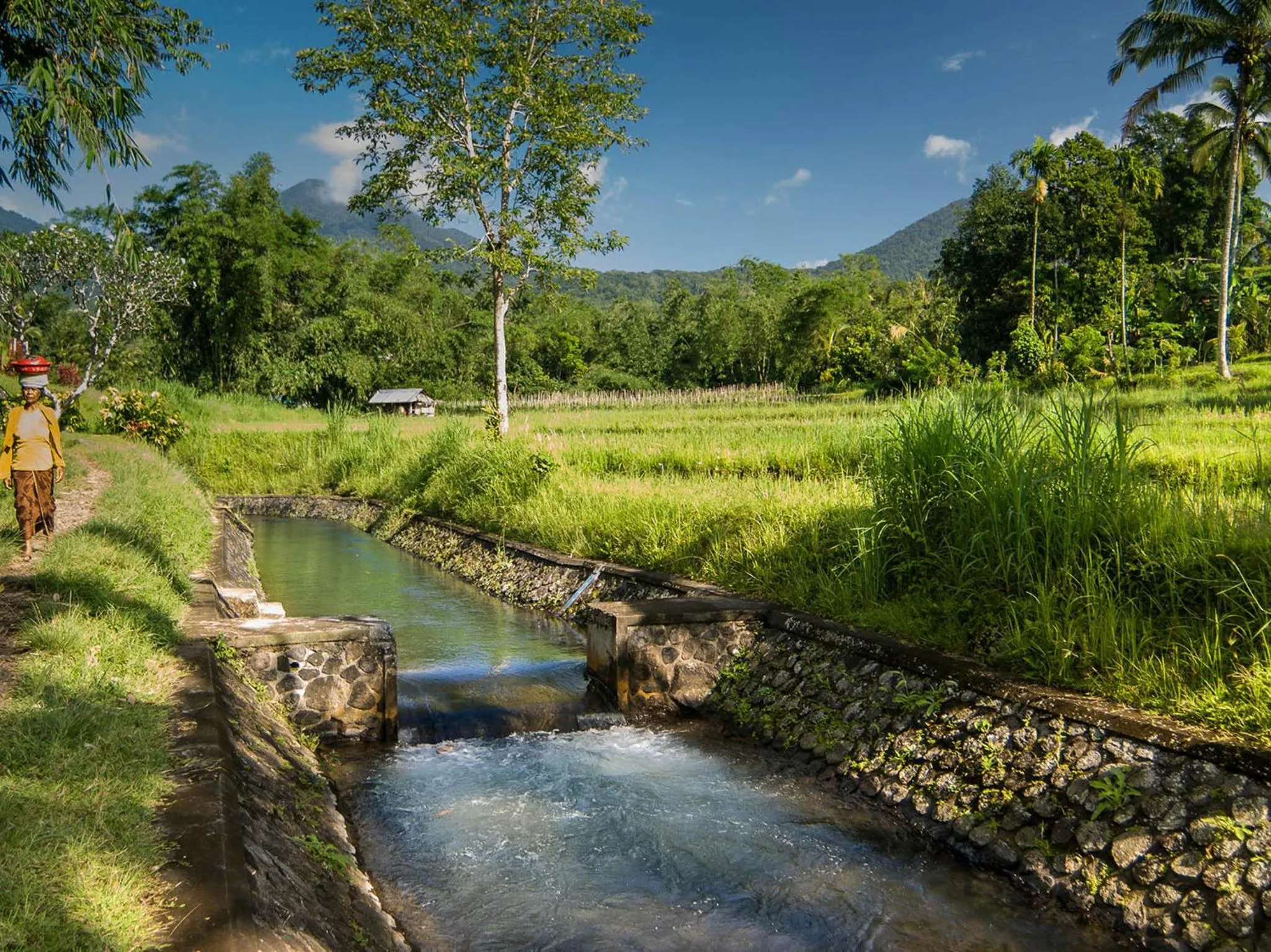 Natural landscape in Seseh Beach Villas