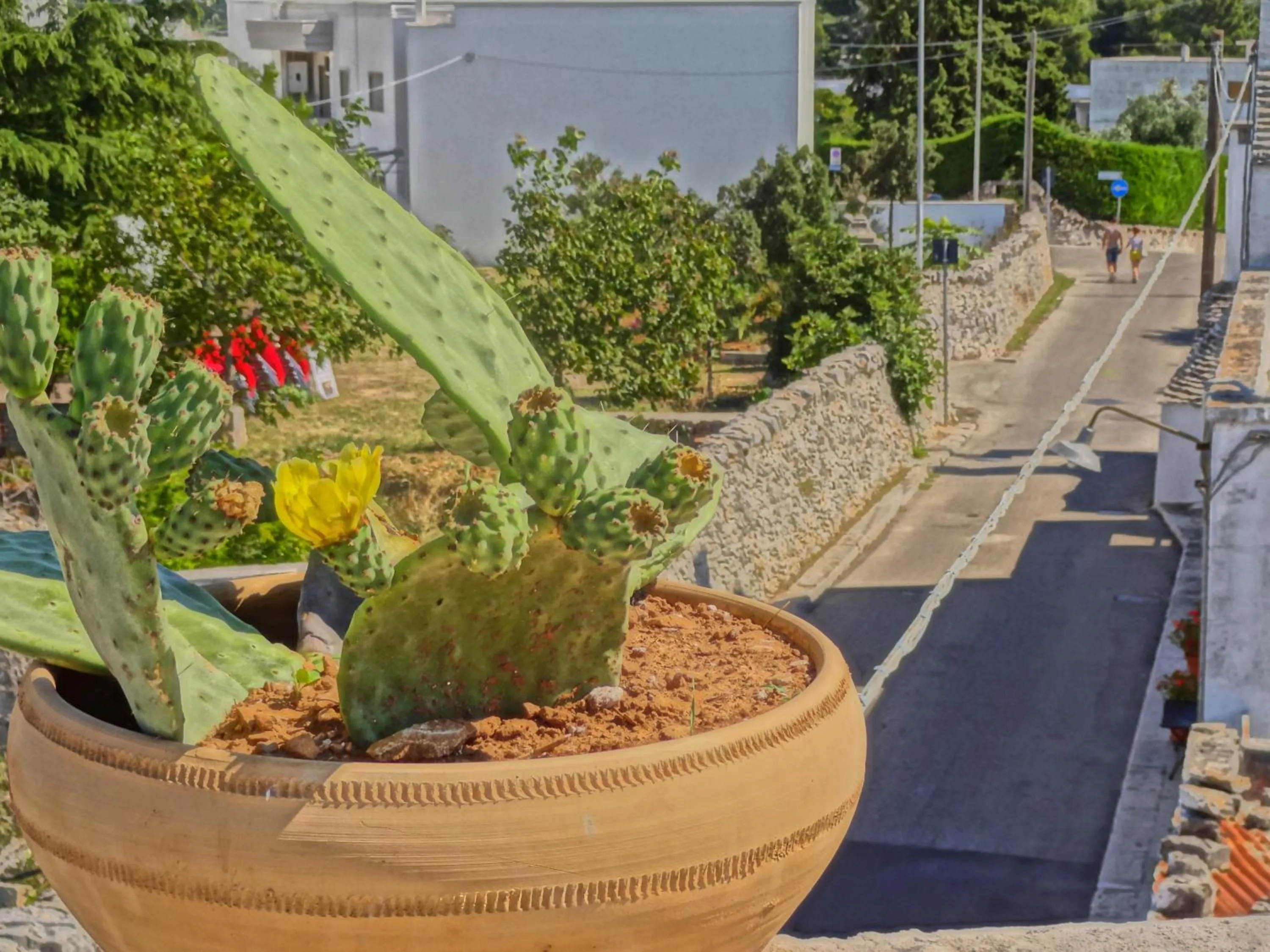 Balcony/Terrace in Trulli-eu Guesthouse Alberobello
