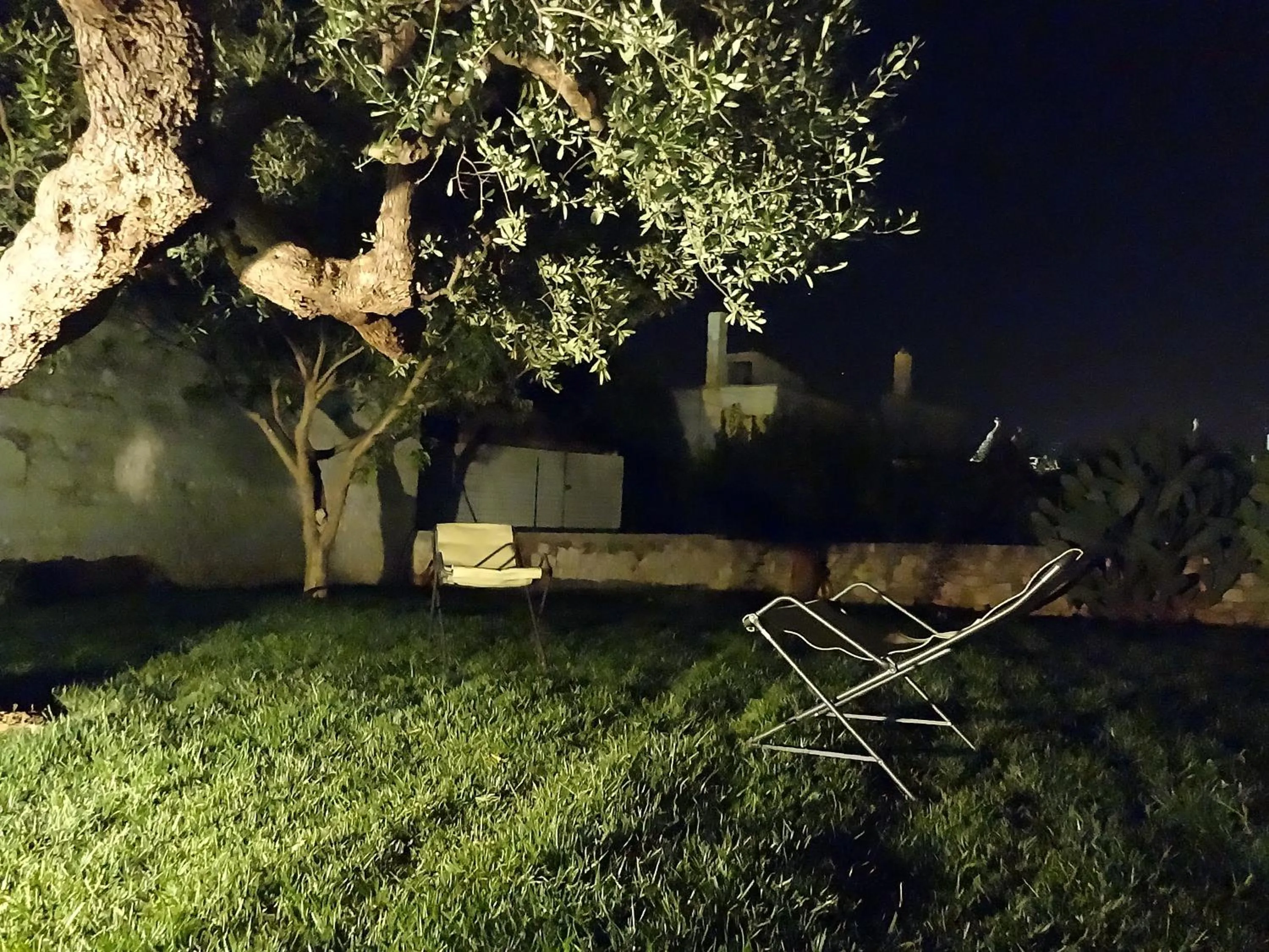 Garden in Trulli-eu Guesthouse Alberobello