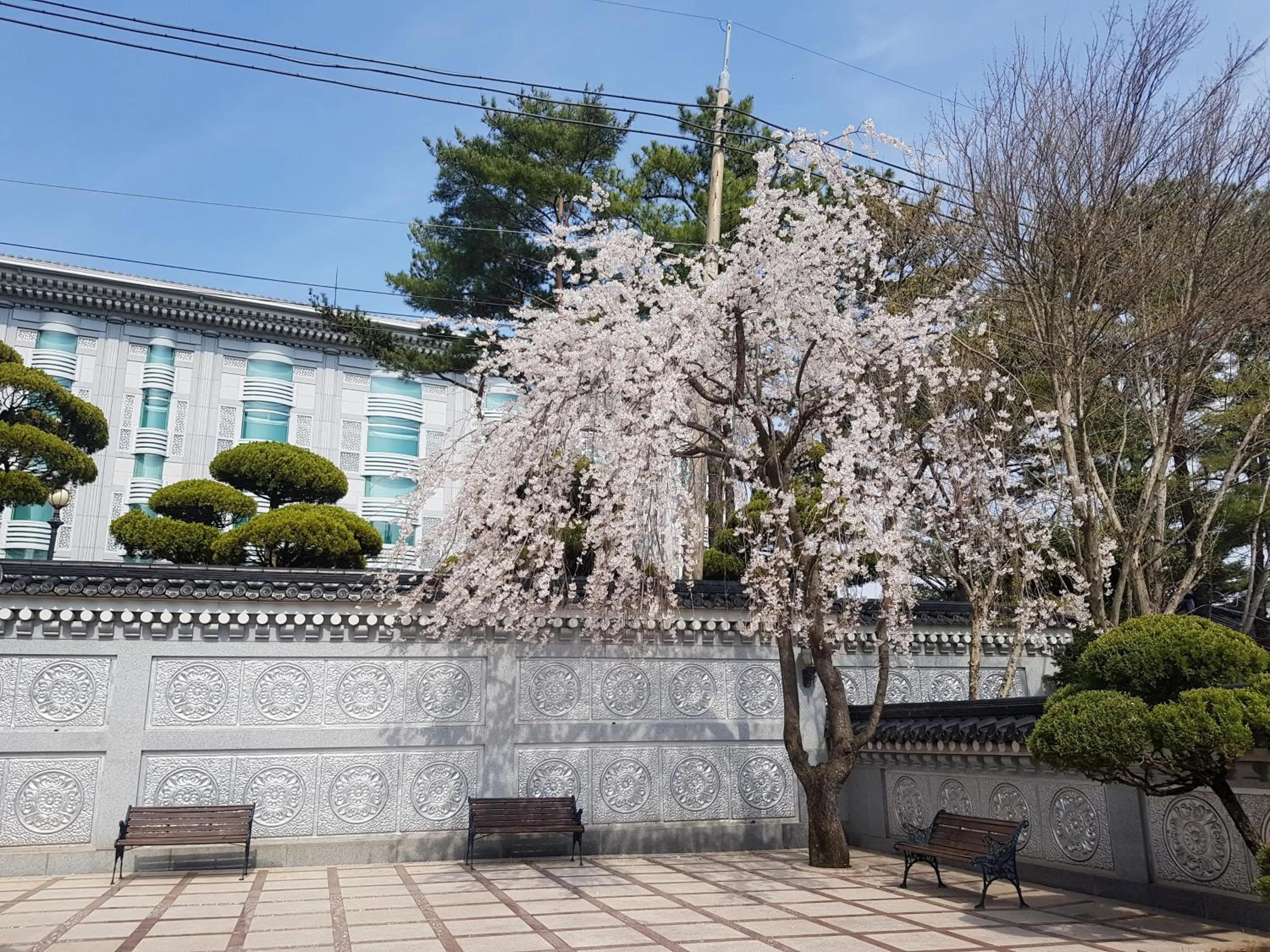 Garden in Hotel Gaya