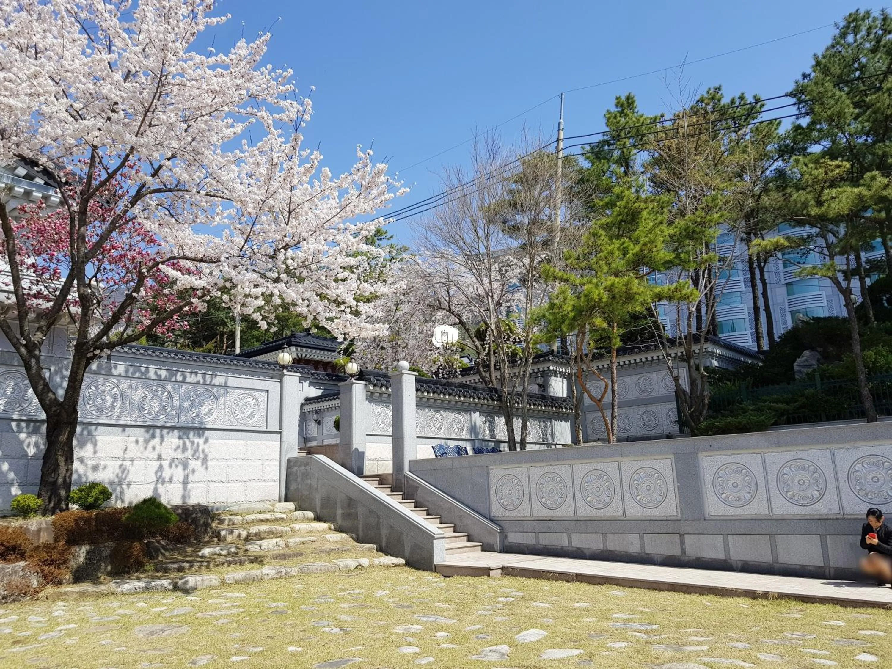 Garden in Hotel Gaya