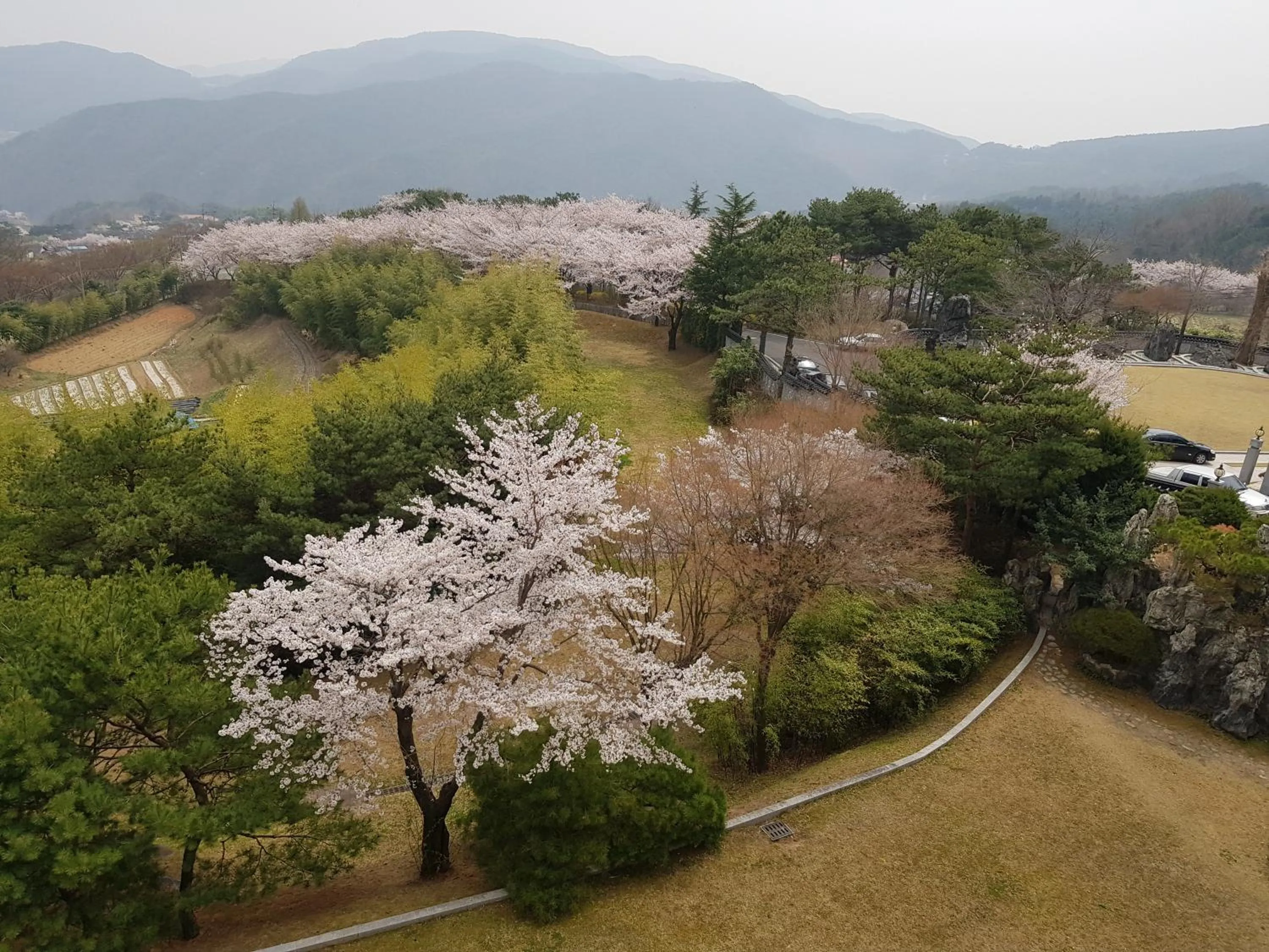 Balcony/Terrace in Hotel Gaya