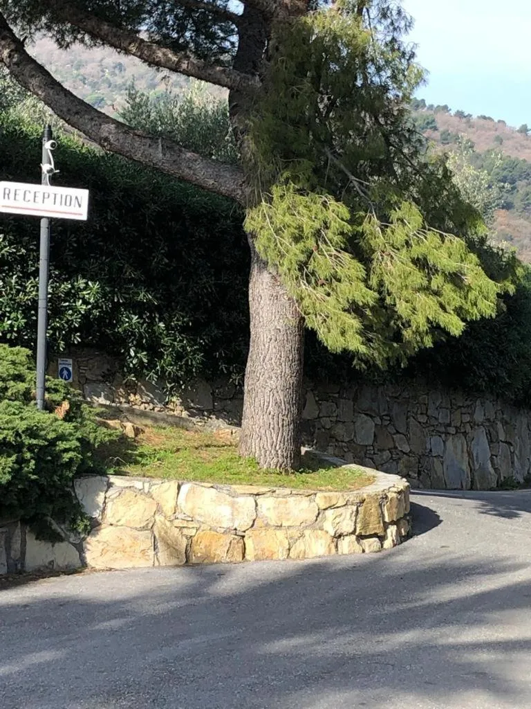 Spring in VILLAGGIO ANDORA COLOMBO