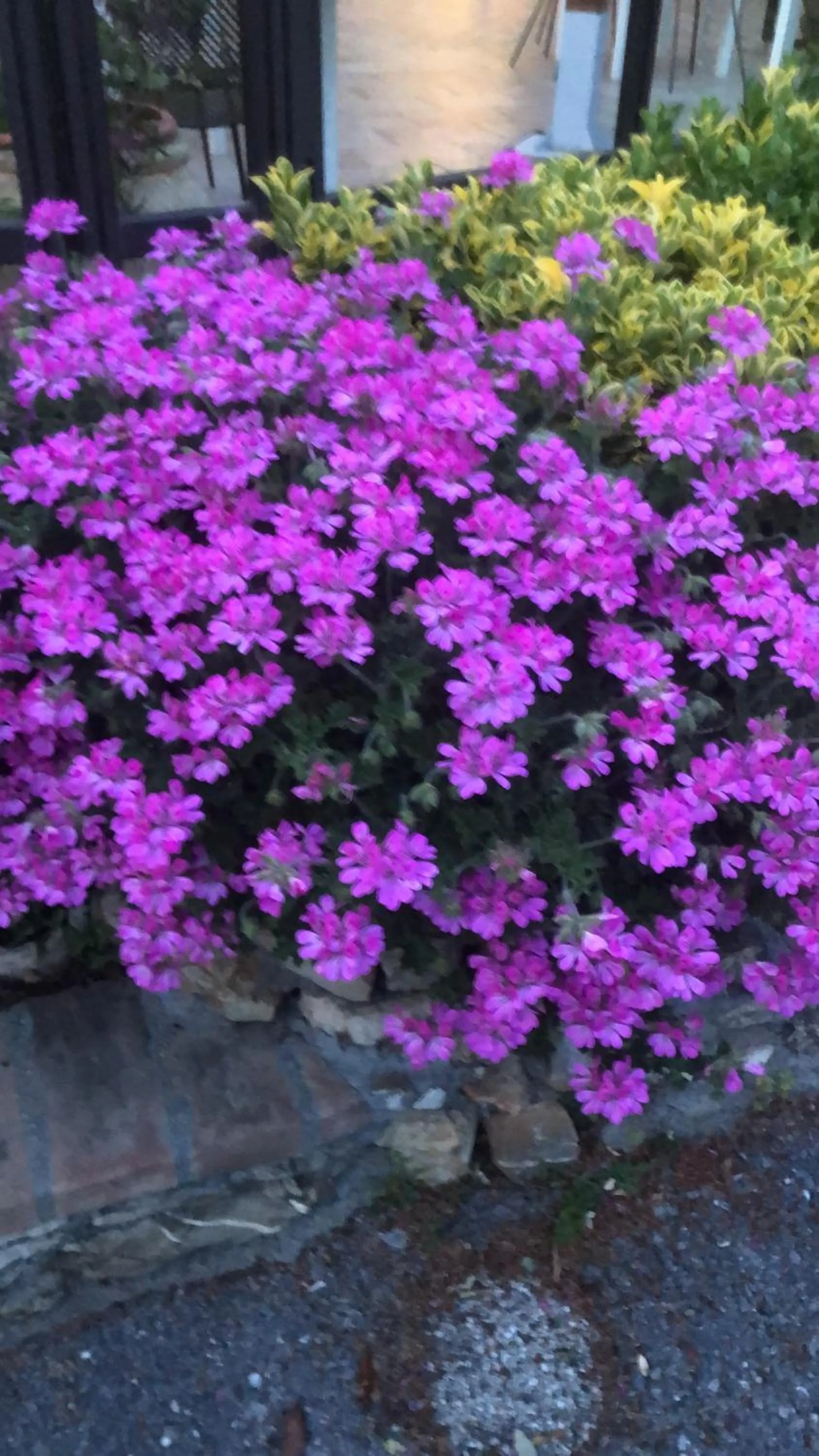 Spring in VILLAGGIO ANDORA COLOMBO