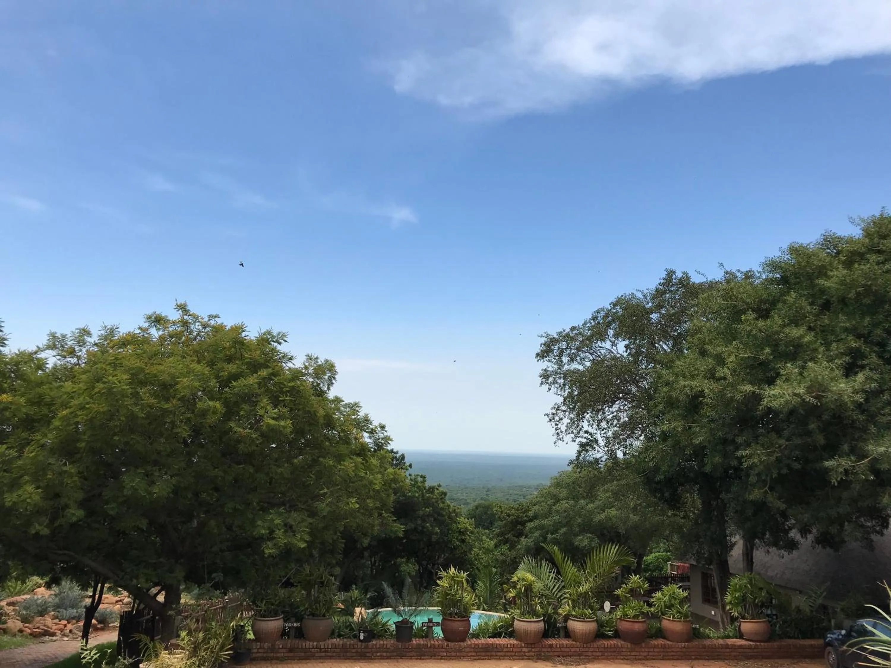 Natural landscape in Amafu Forest Lodge