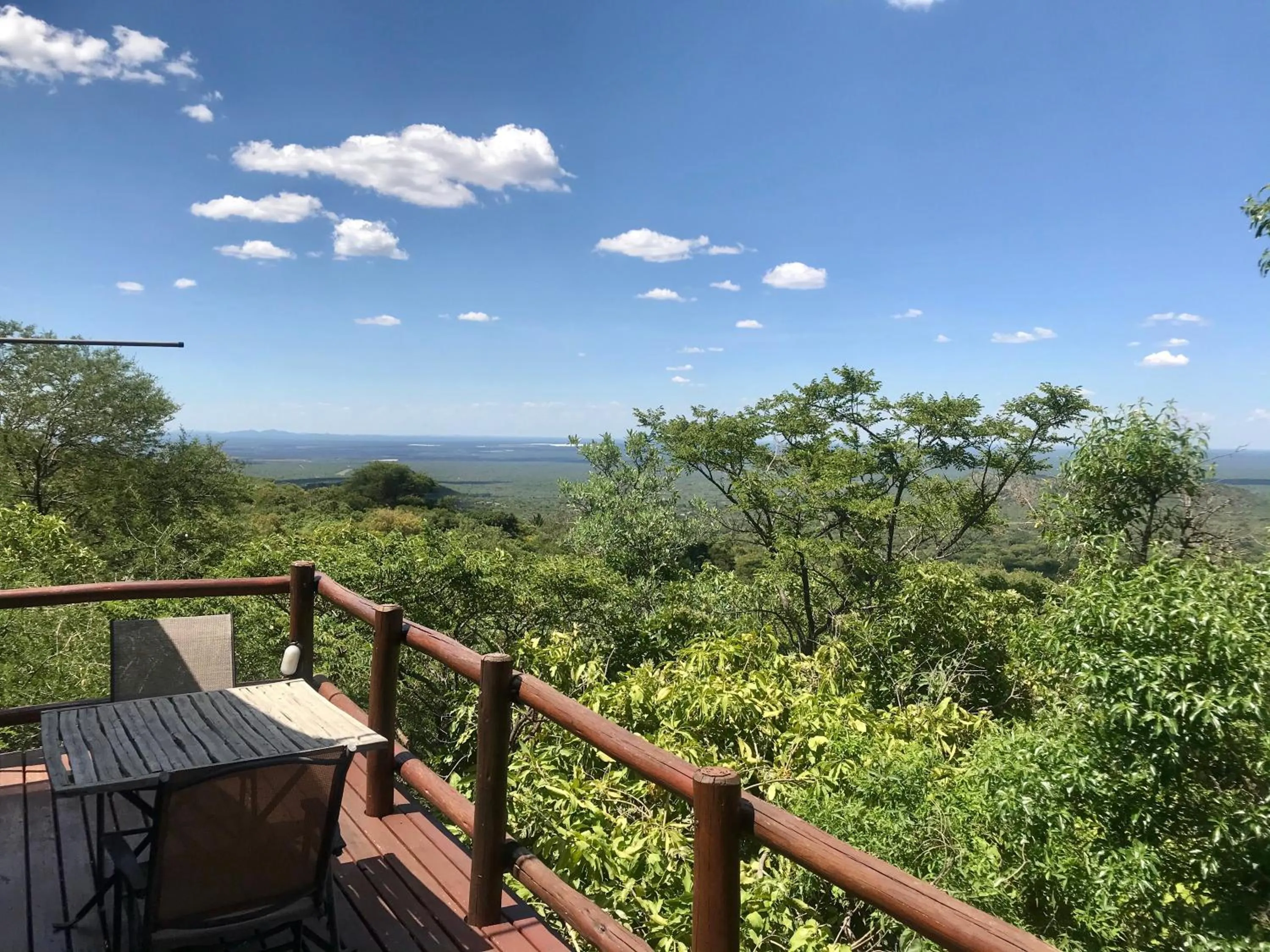 Balcony/Terrace in Amafu Forest Lodge