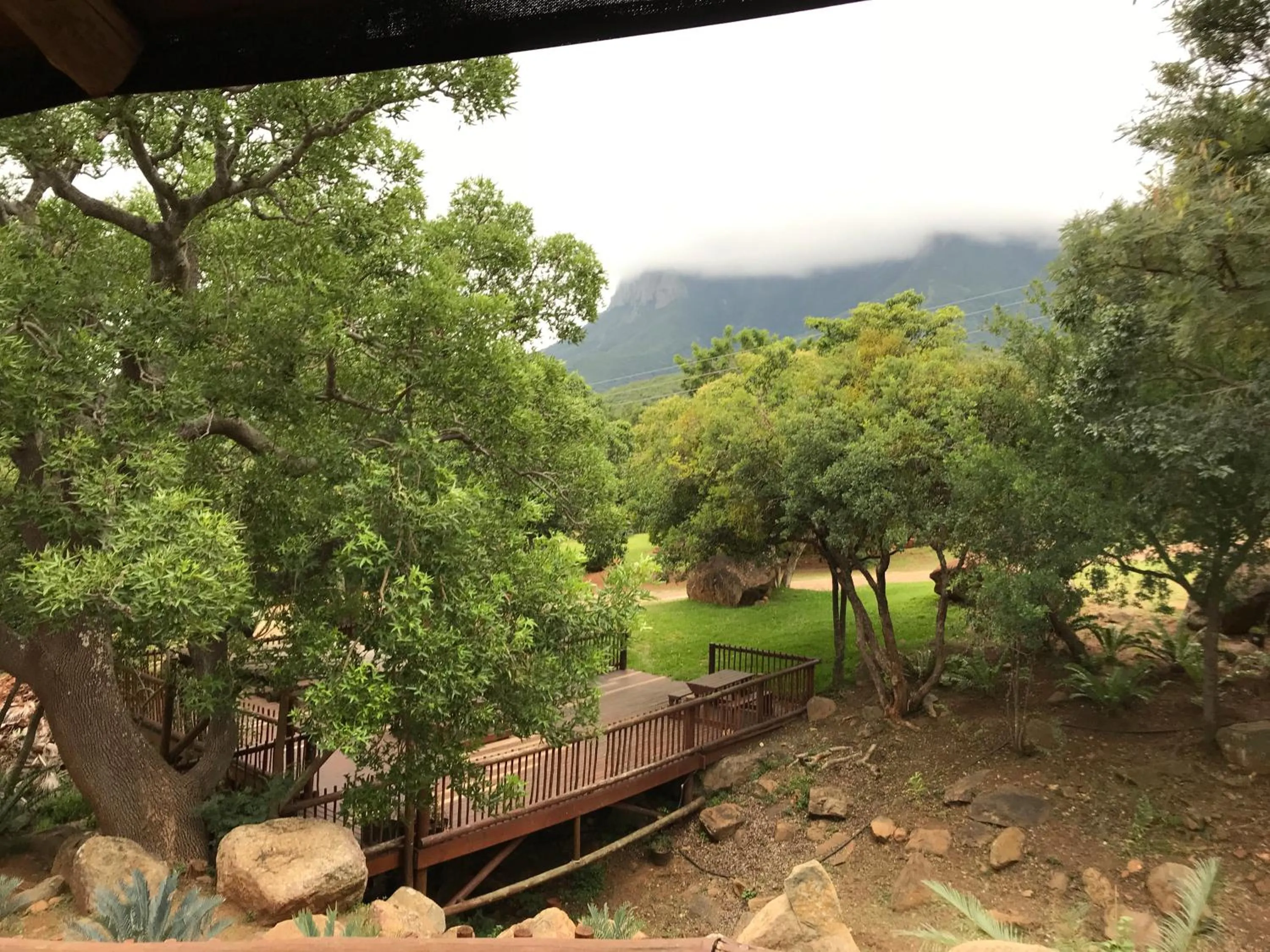 Mountain view in Amafu Forest Lodge