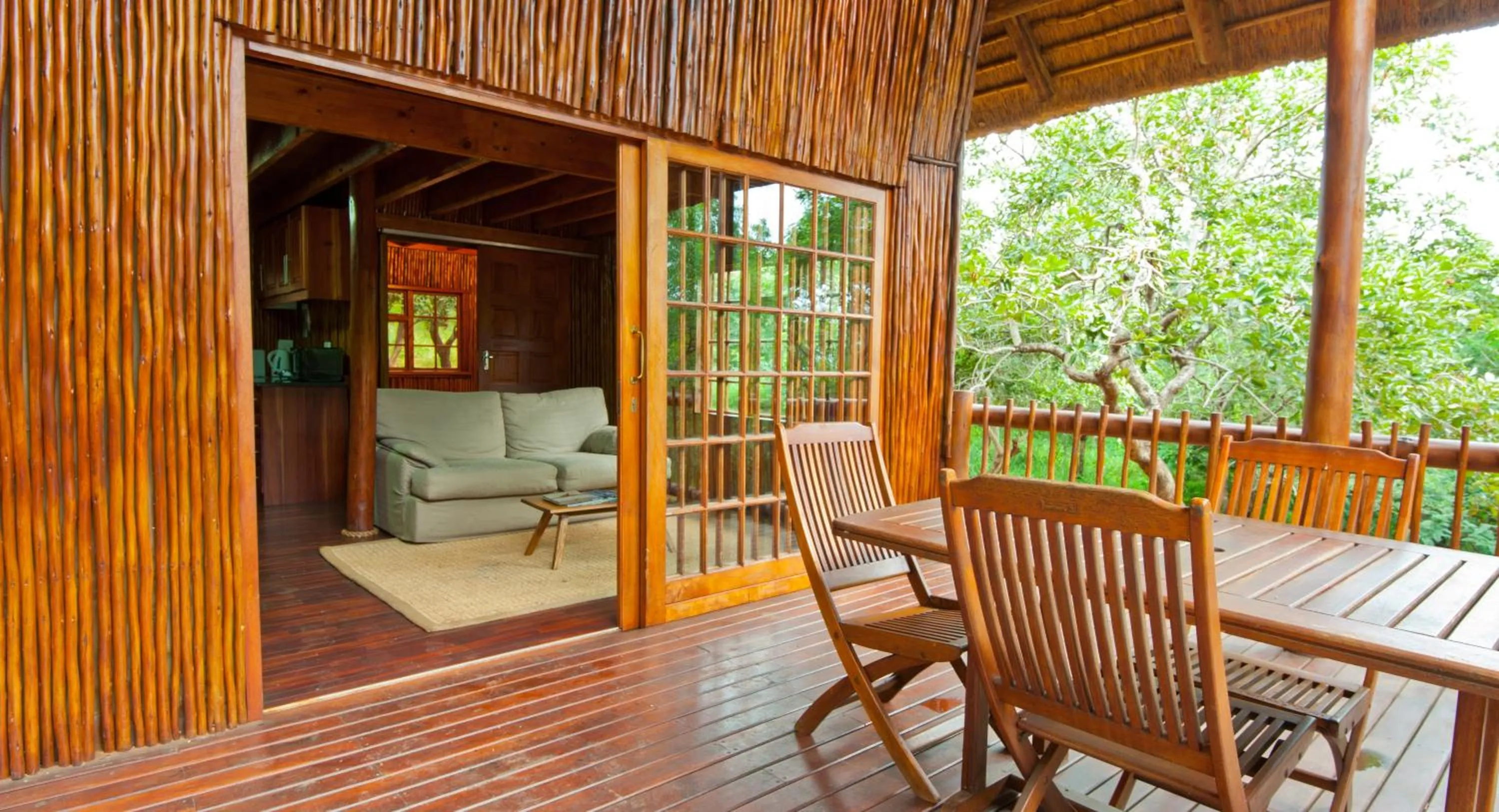 Balcony/Terrace in Amafu Forest Lodge