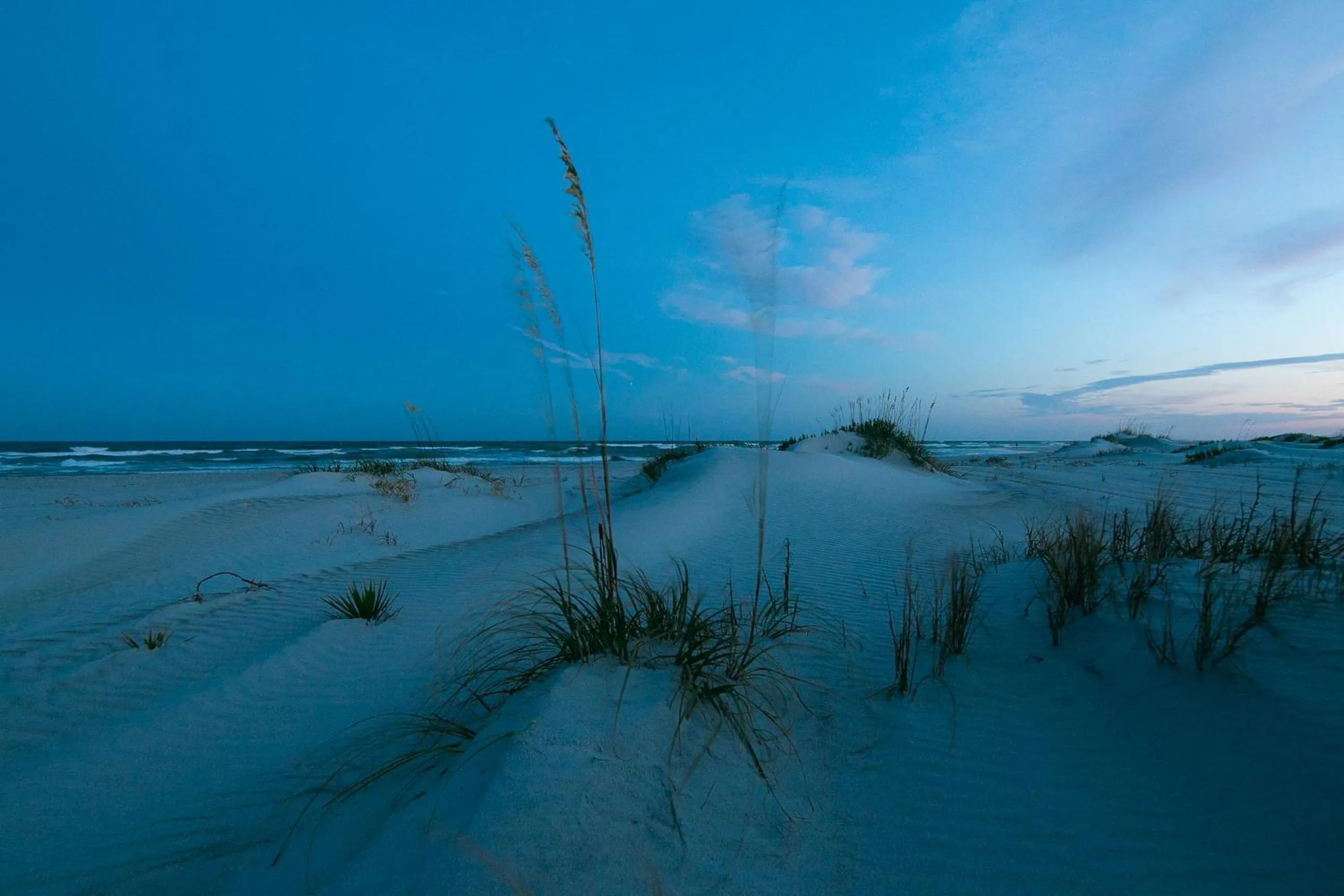 Beach in Sea Vista Motel
