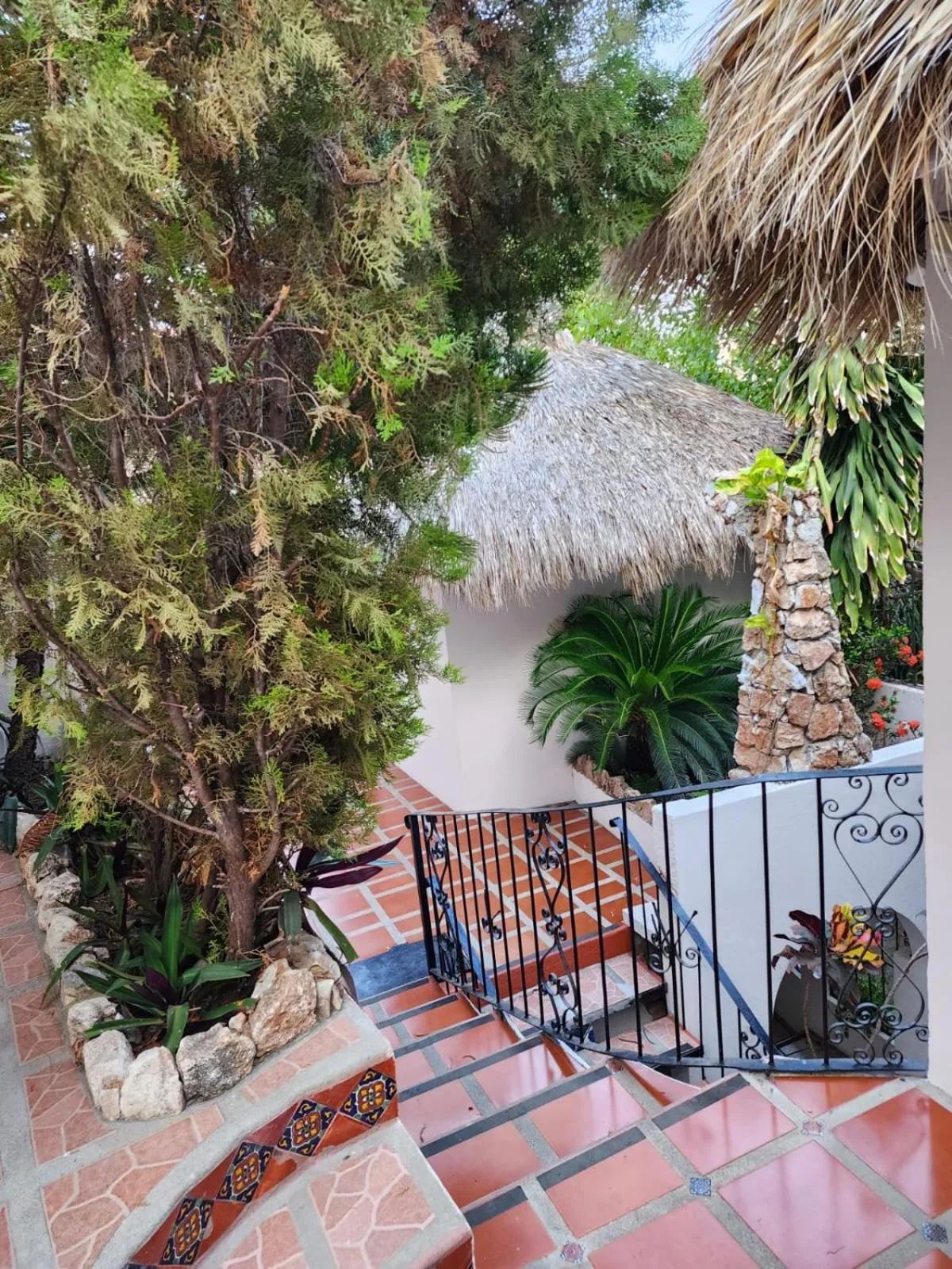 Patio in Esencia Puerto Escondido