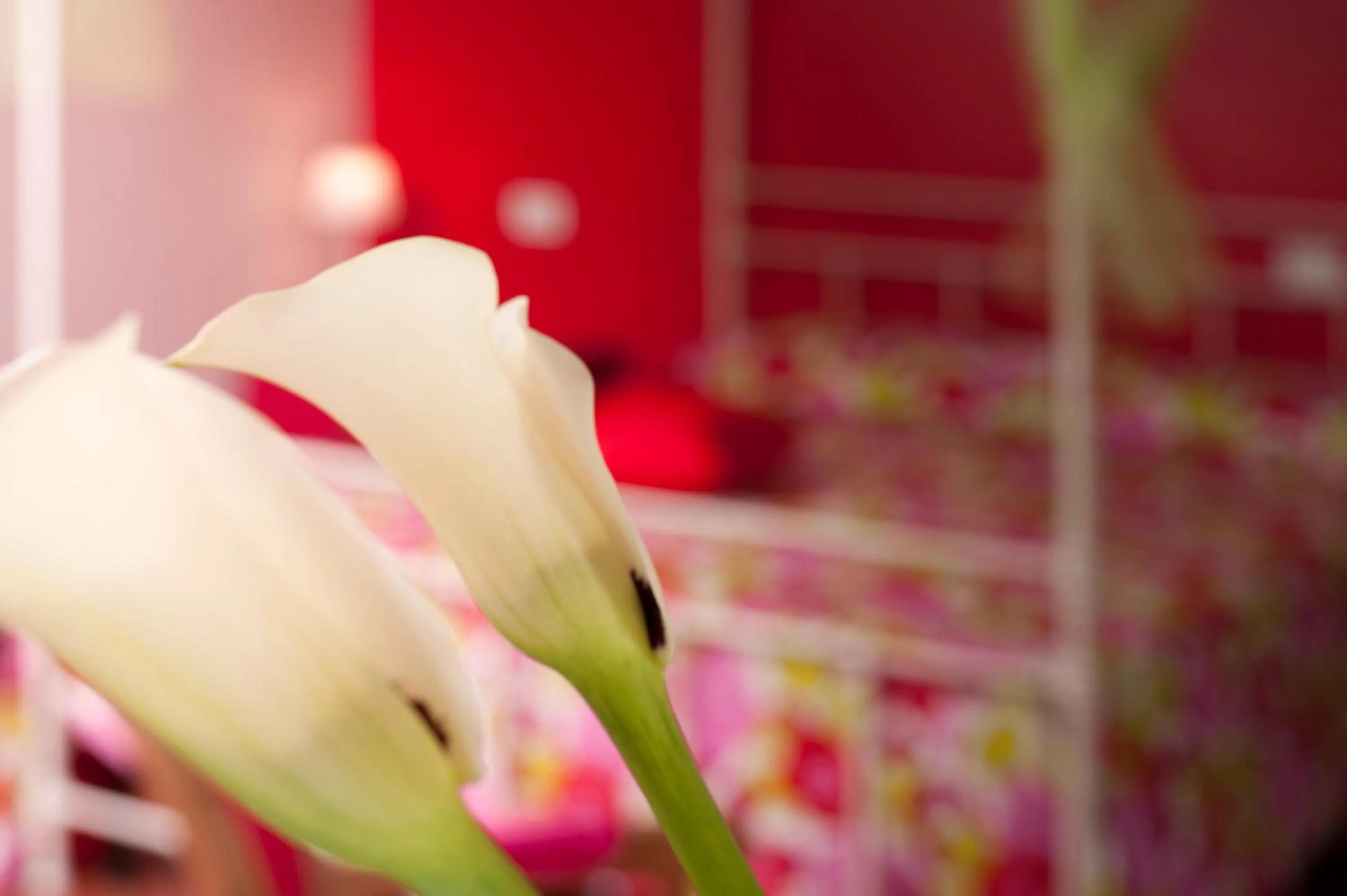 Bedroom in Antico Granaione