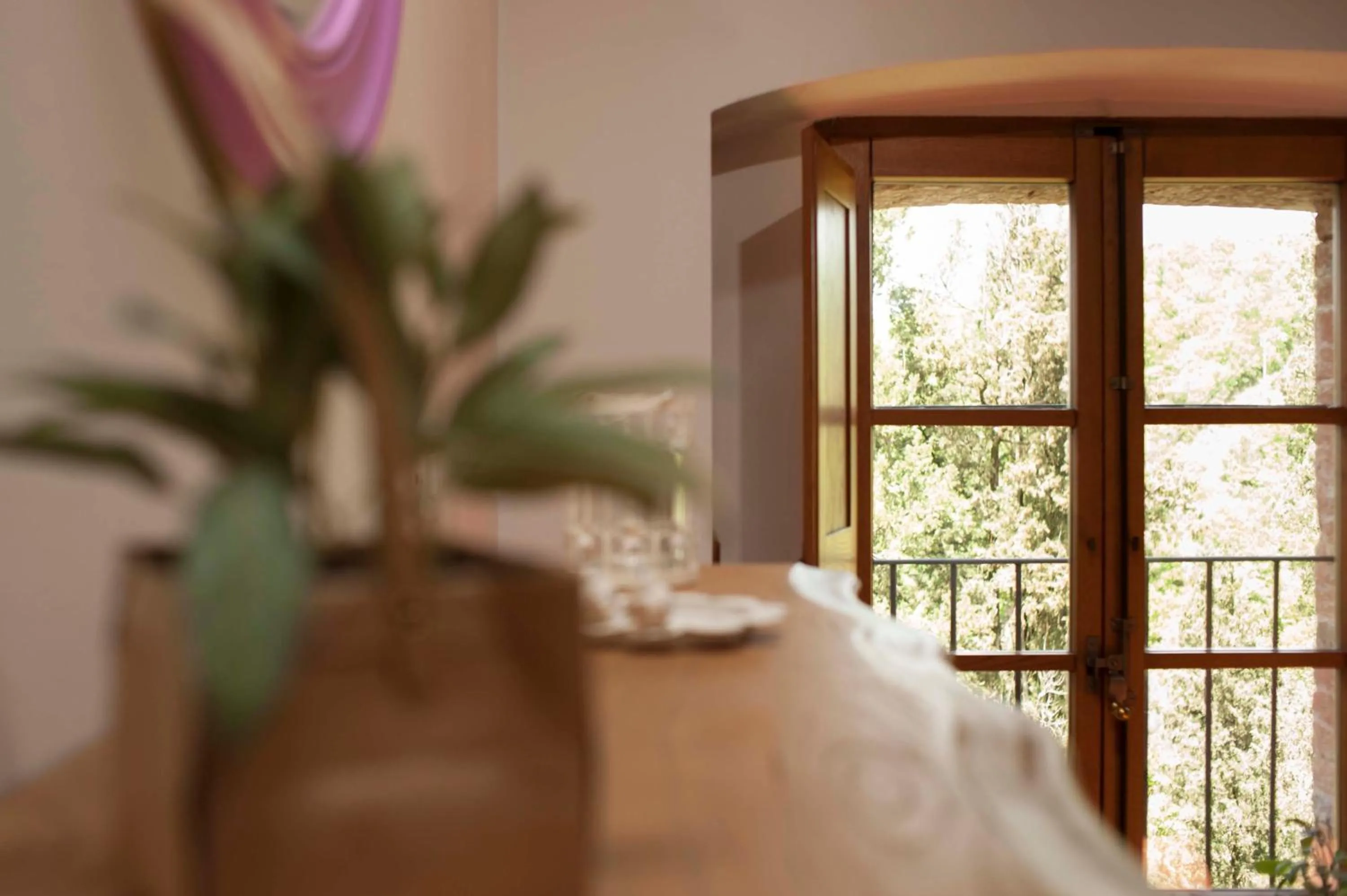 Photo of the whole room in Antico Granaione