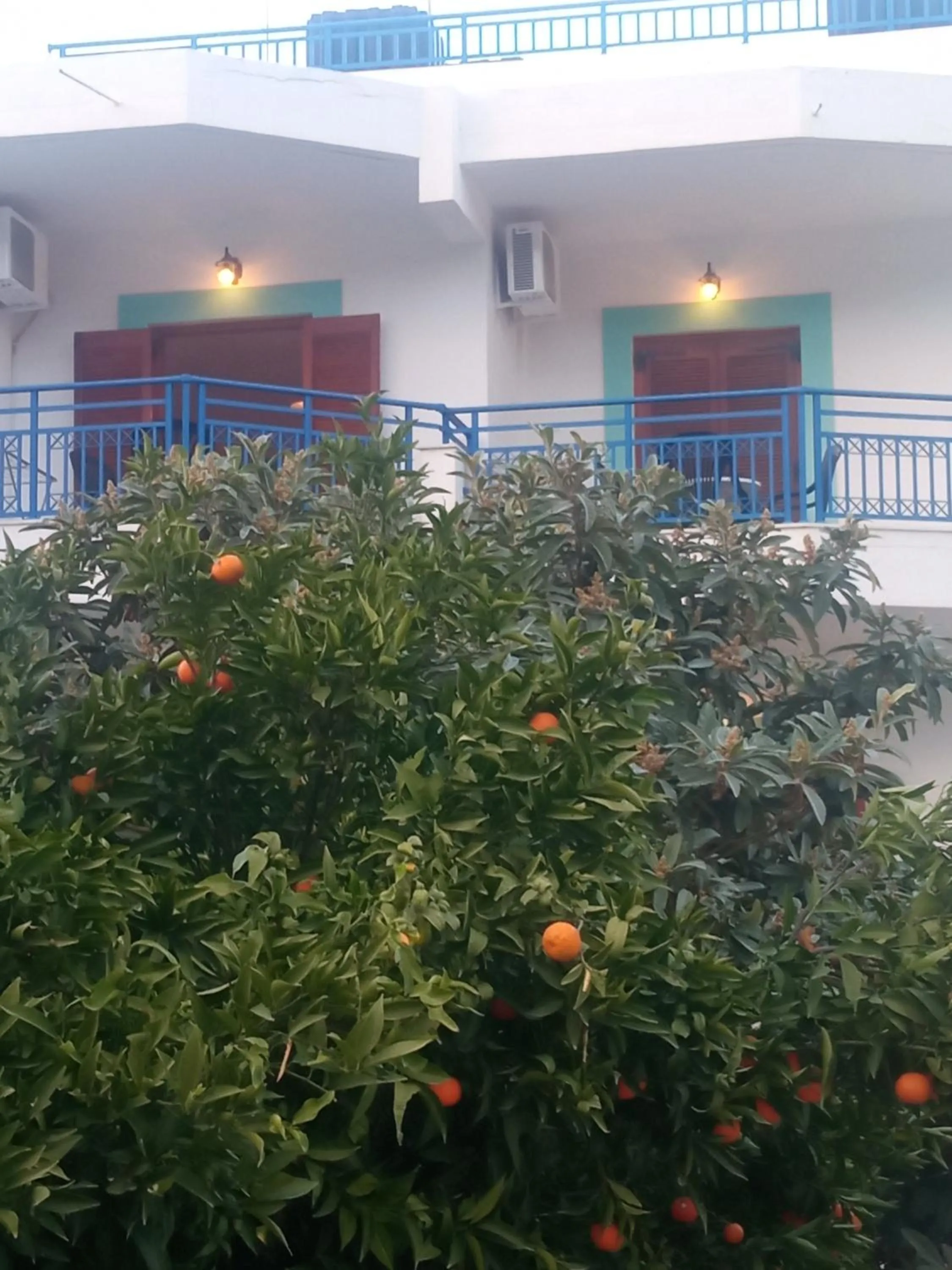 George Studios Stalis