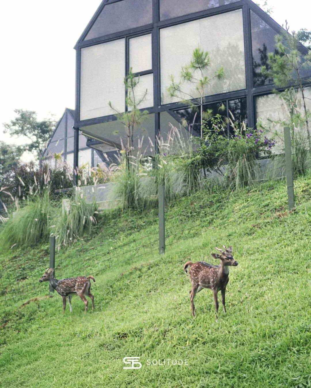 Solitude Tahura Villa Bandung