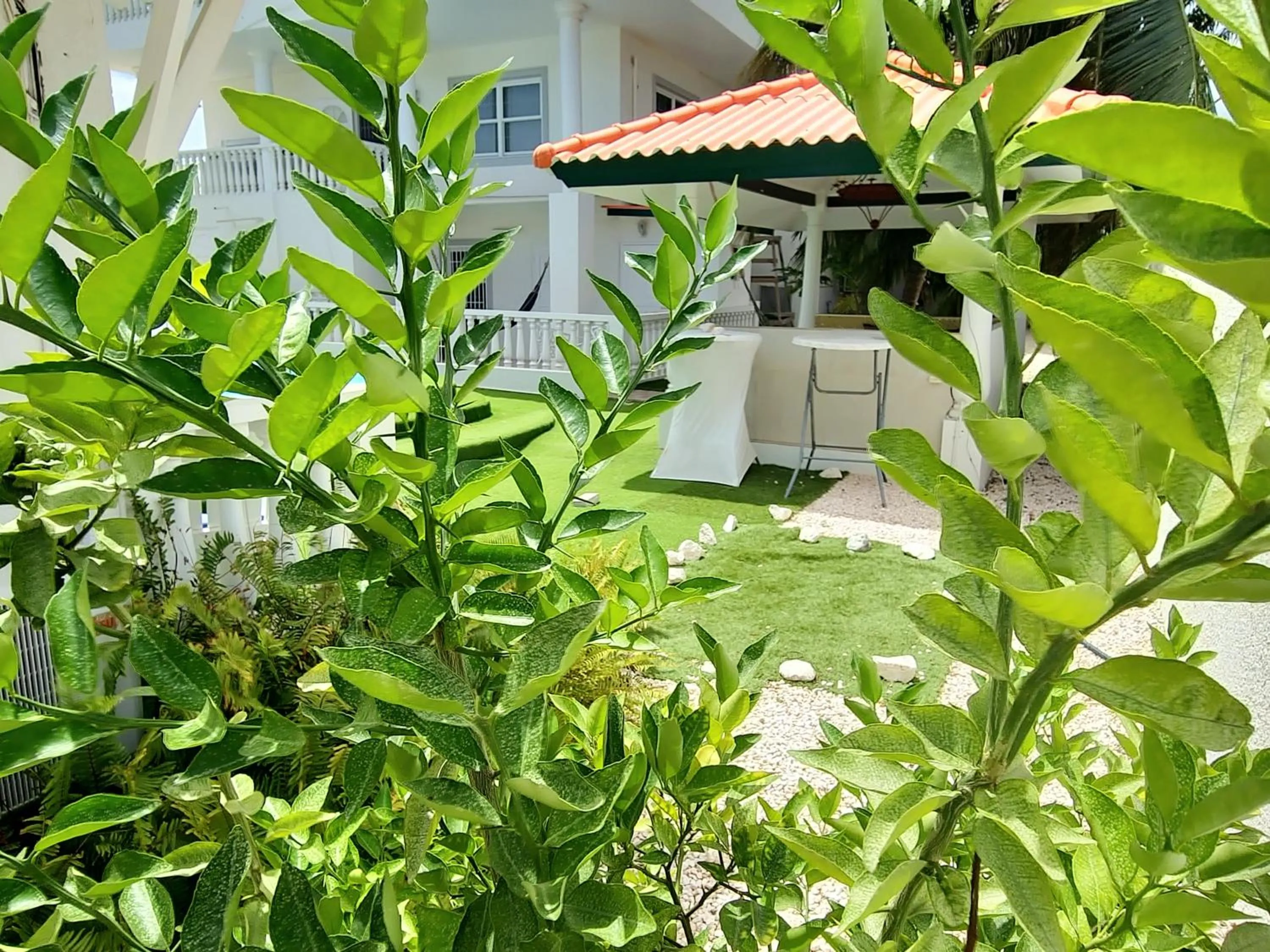 Garden in Adonai Hotel Boutique