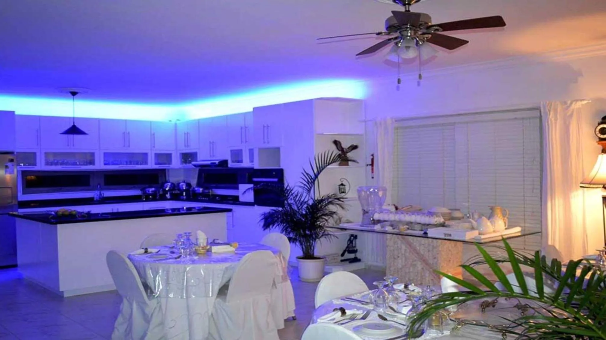 Restaurant/places to eat in Adonai Hotel Boutique