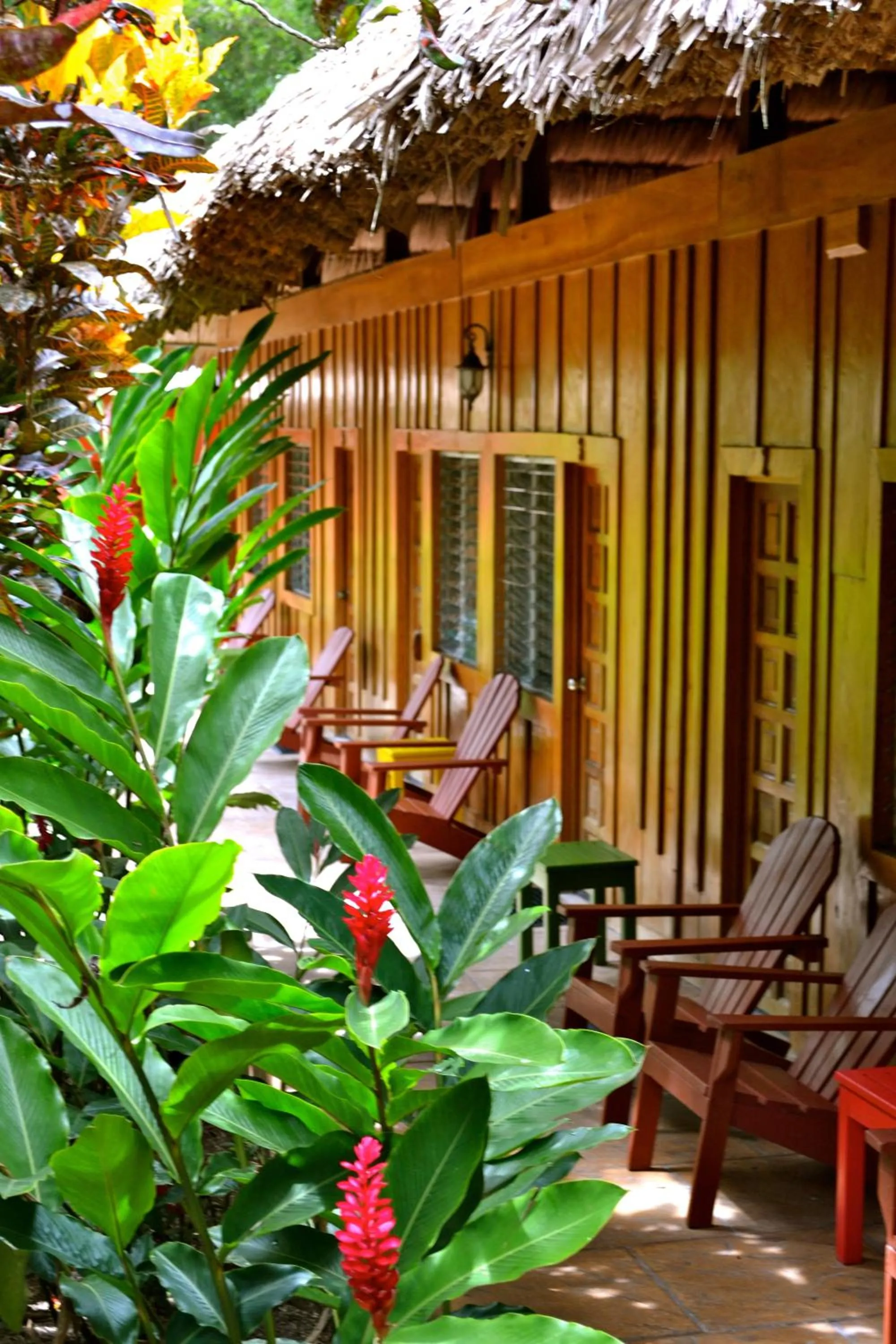 Patio in Jungle Lodge Tikal Hostal