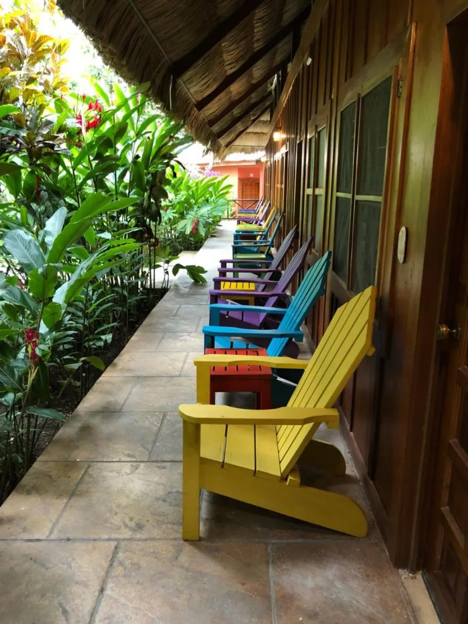 Photo of the whole room in Jungle Lodge Tikal Hostal