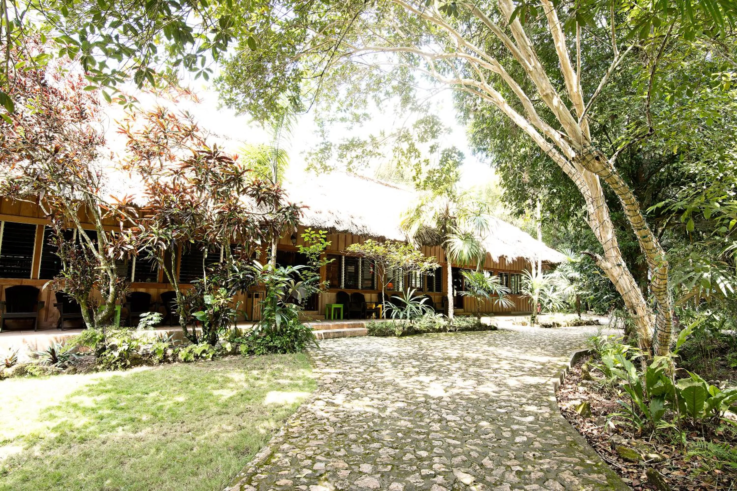 Restaurant/places to eat in Hotel Jungle Lodge Tikal