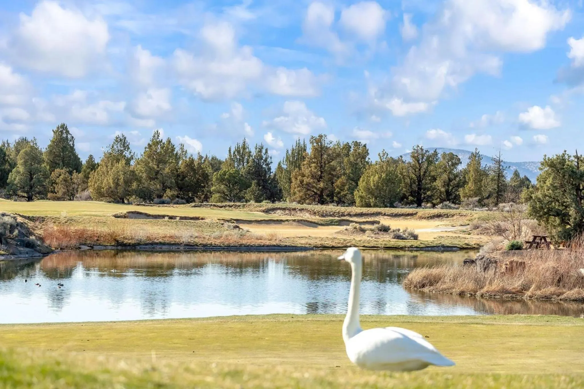 Natural landscape in Juniper Preserve