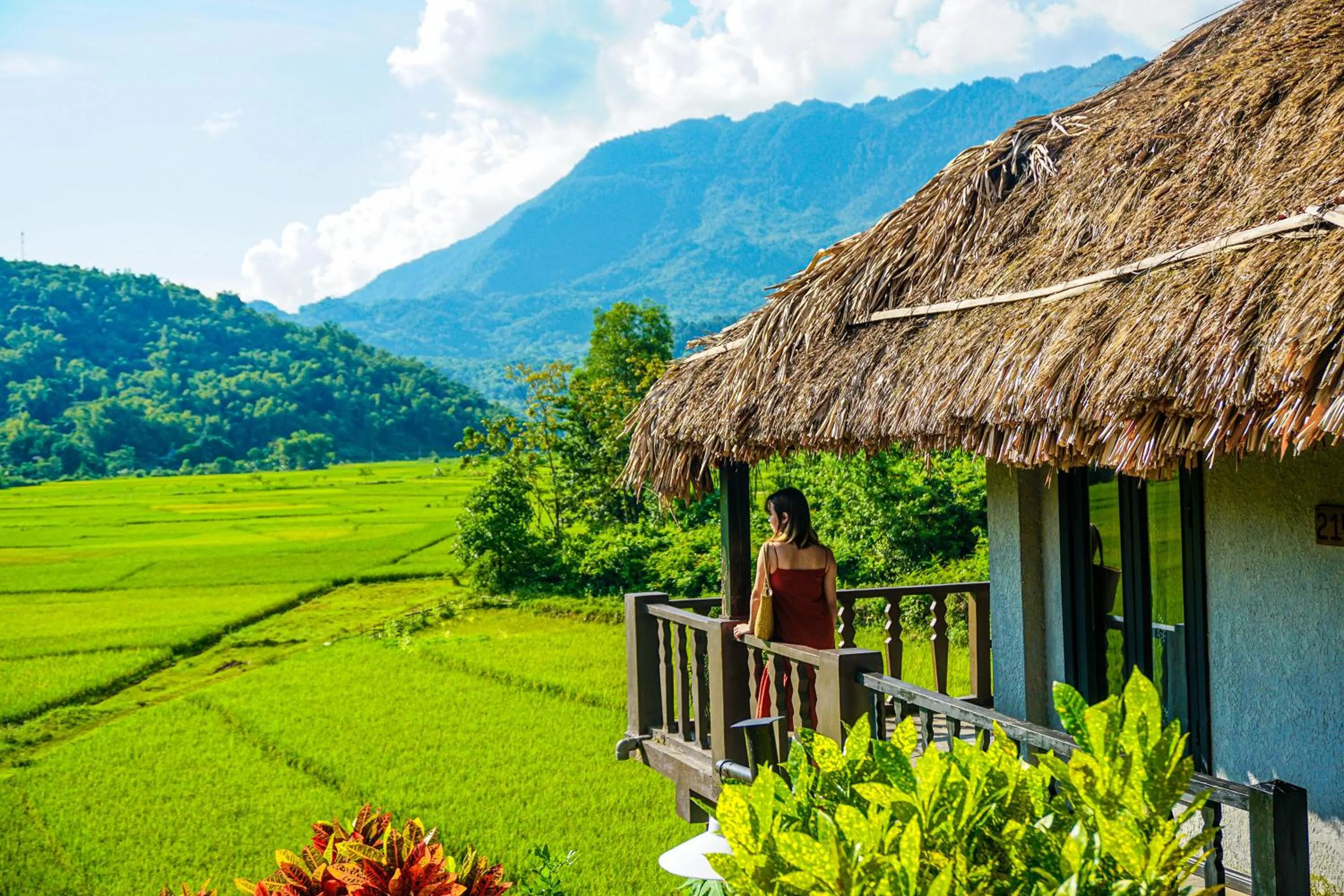 View (from property/room) in Mai Chau Ecolodge