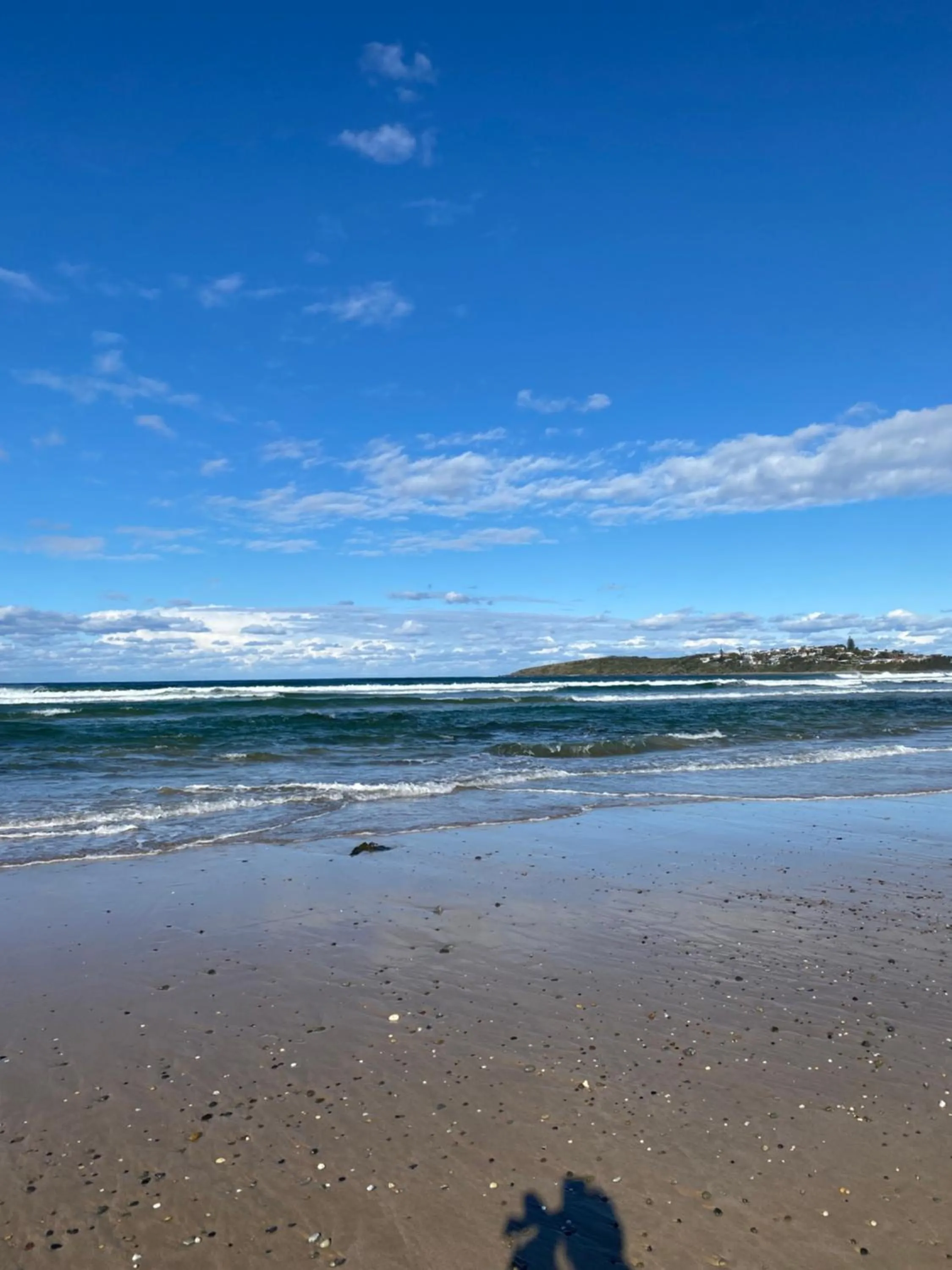 Safety Beach Bungalows