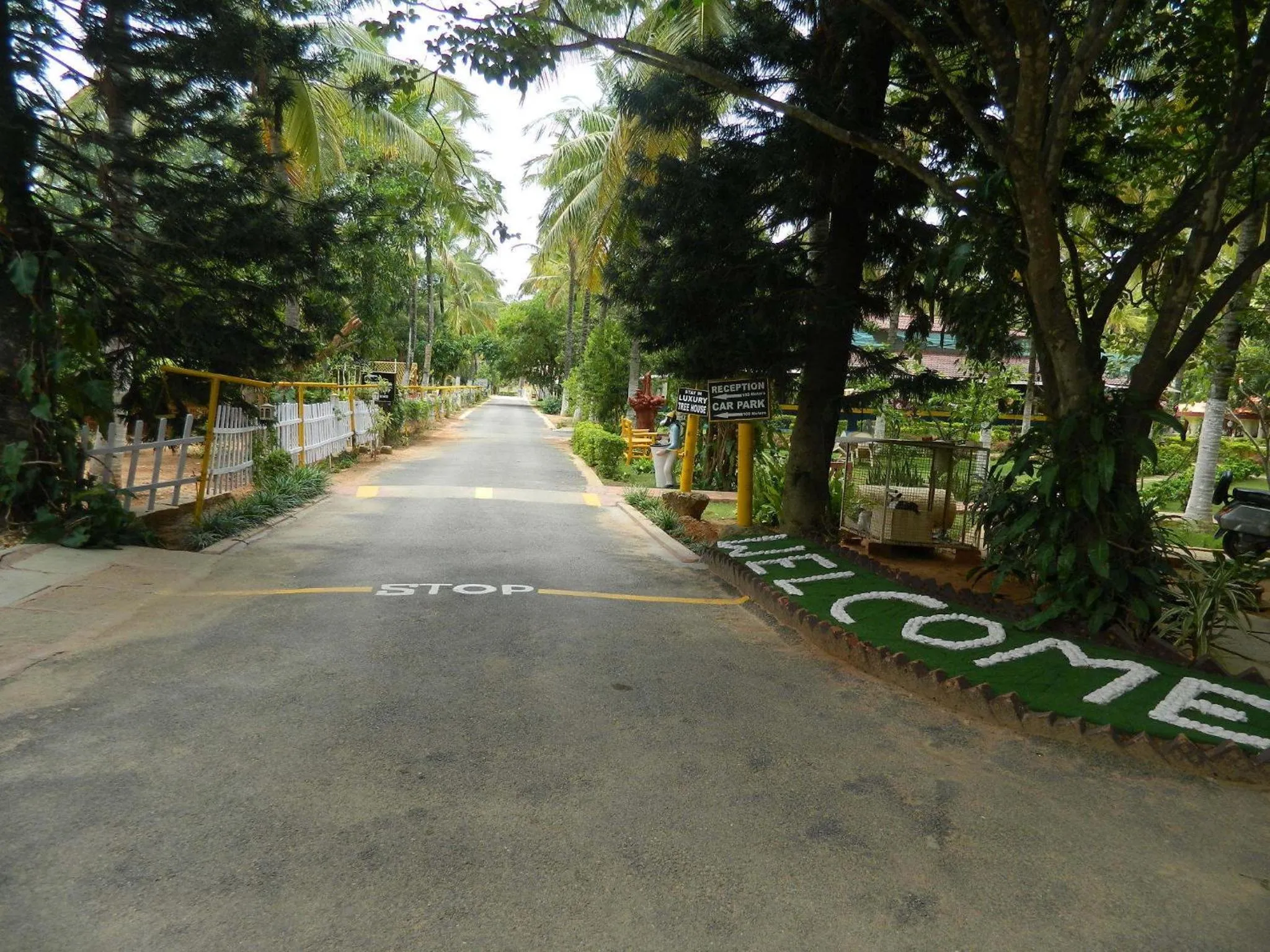 Day in Fantasy Golf Resort