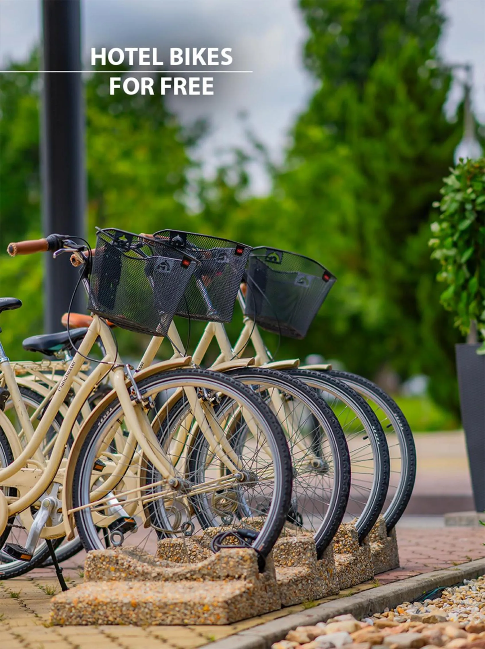 Sports in Cosmopolitan Bobycentrum - Czech Leading Hotels