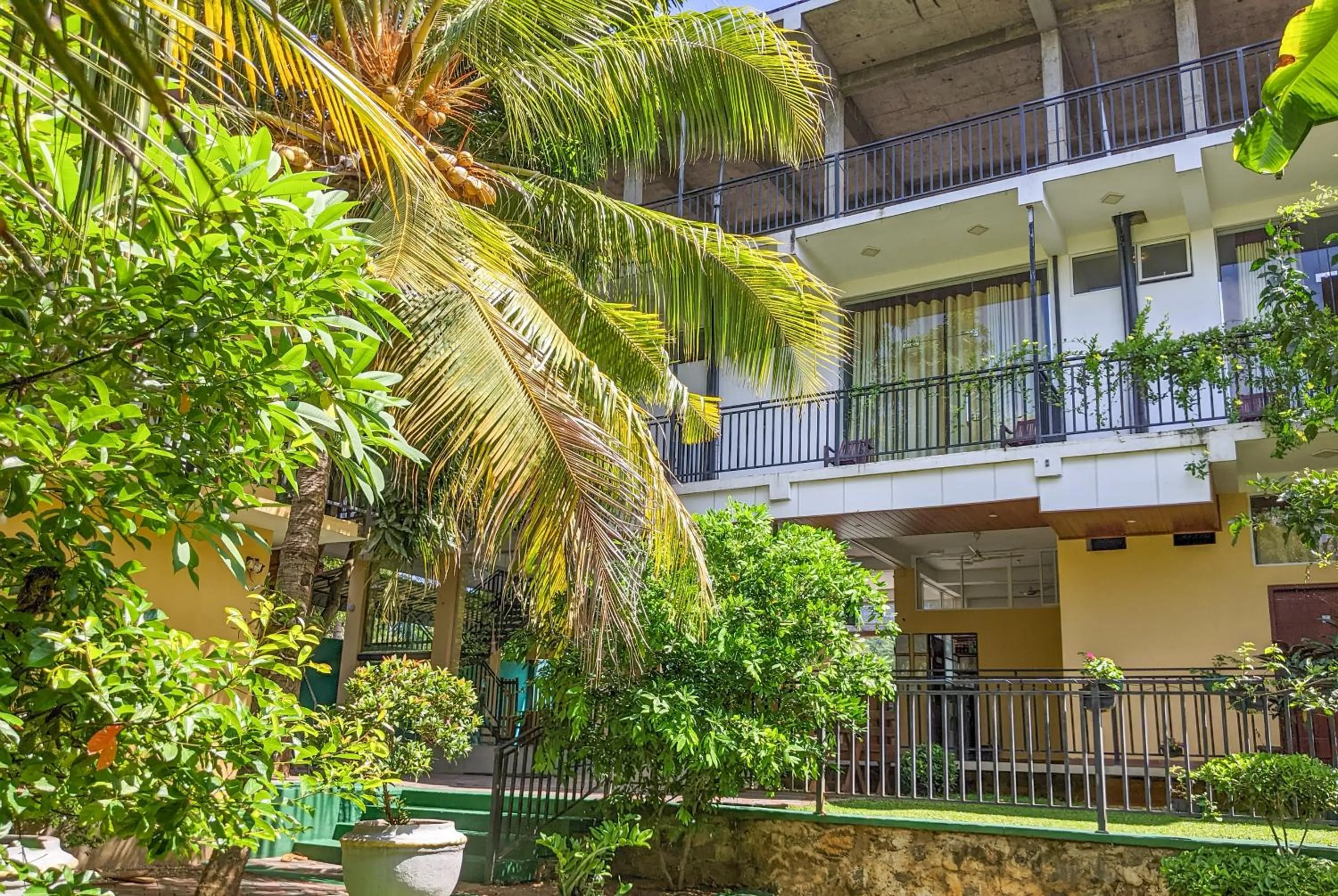 Garden in Yala Golden Wild