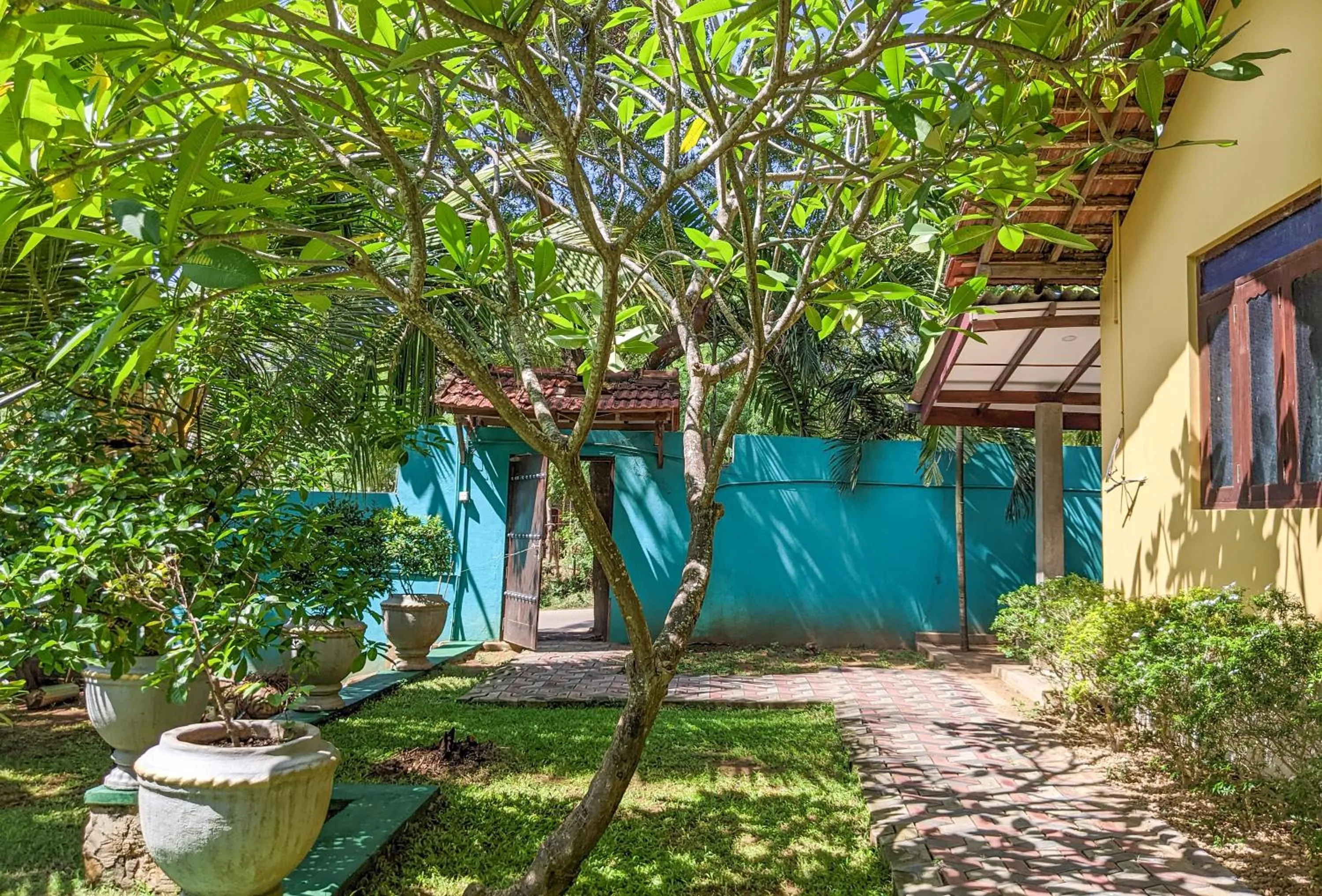 Garden in Yala Golden Wild