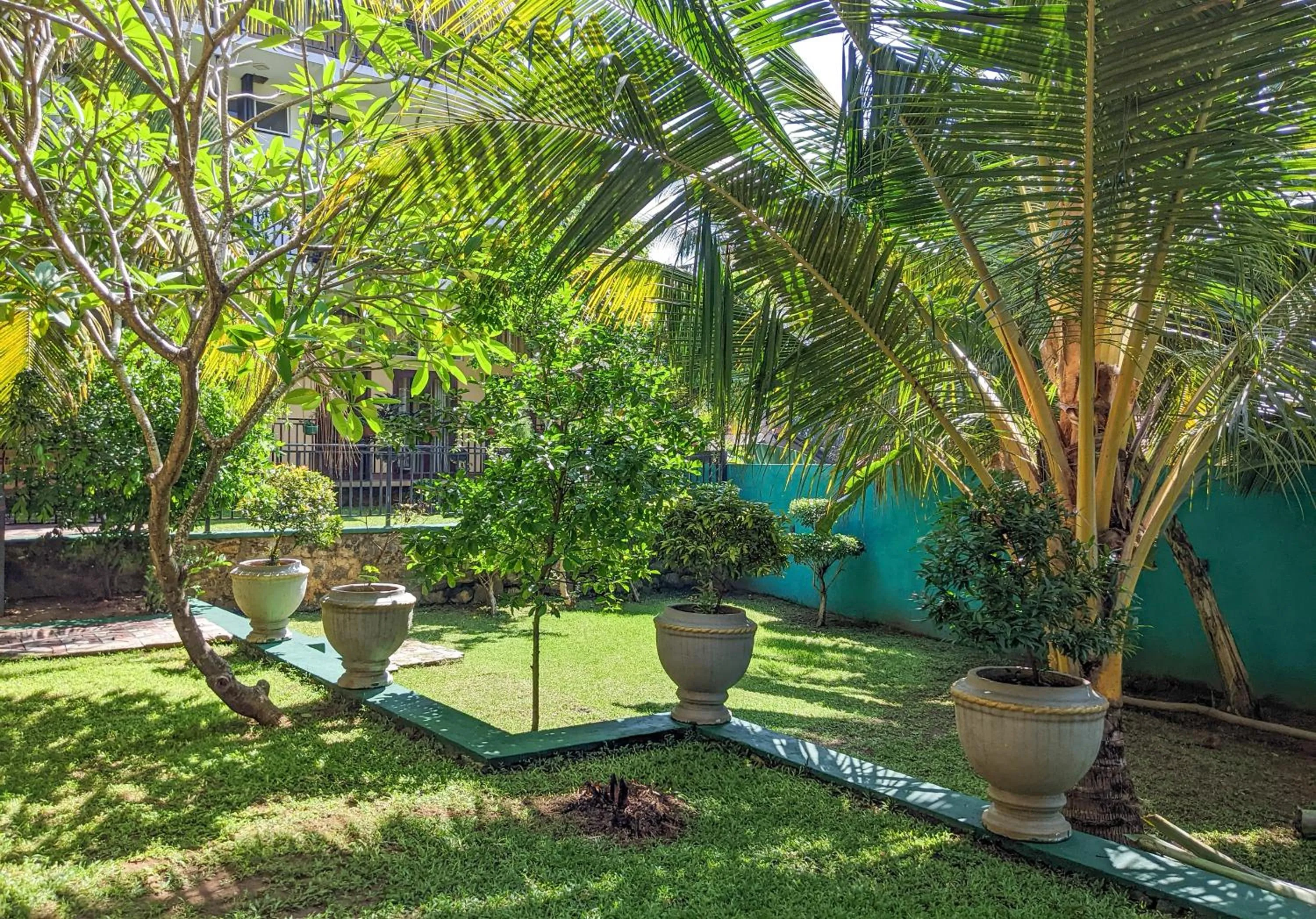 Garden in Yala Golden Wild