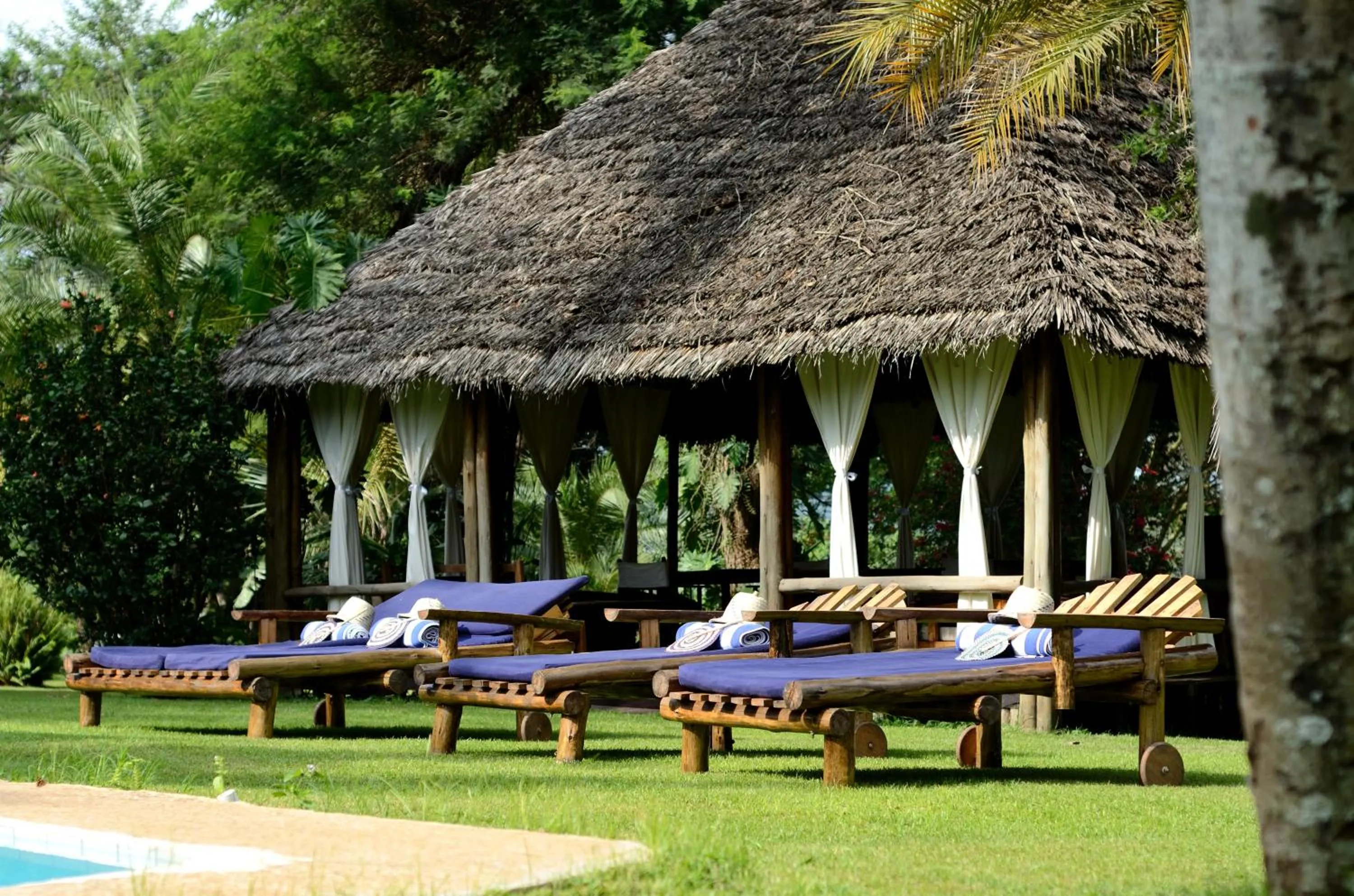 Spring in Arusha Safari Lodge