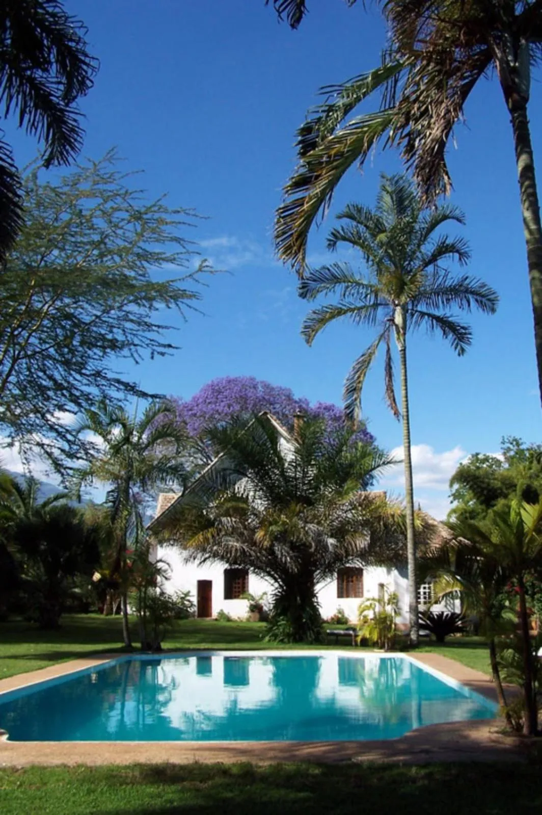 Spring in Arusha Safari Lodge