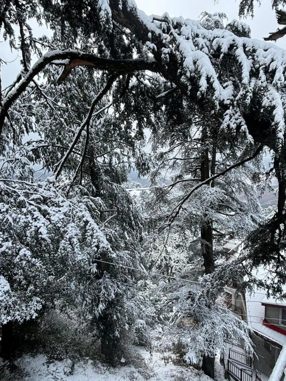 Property building in Hotel Jakhu Heights