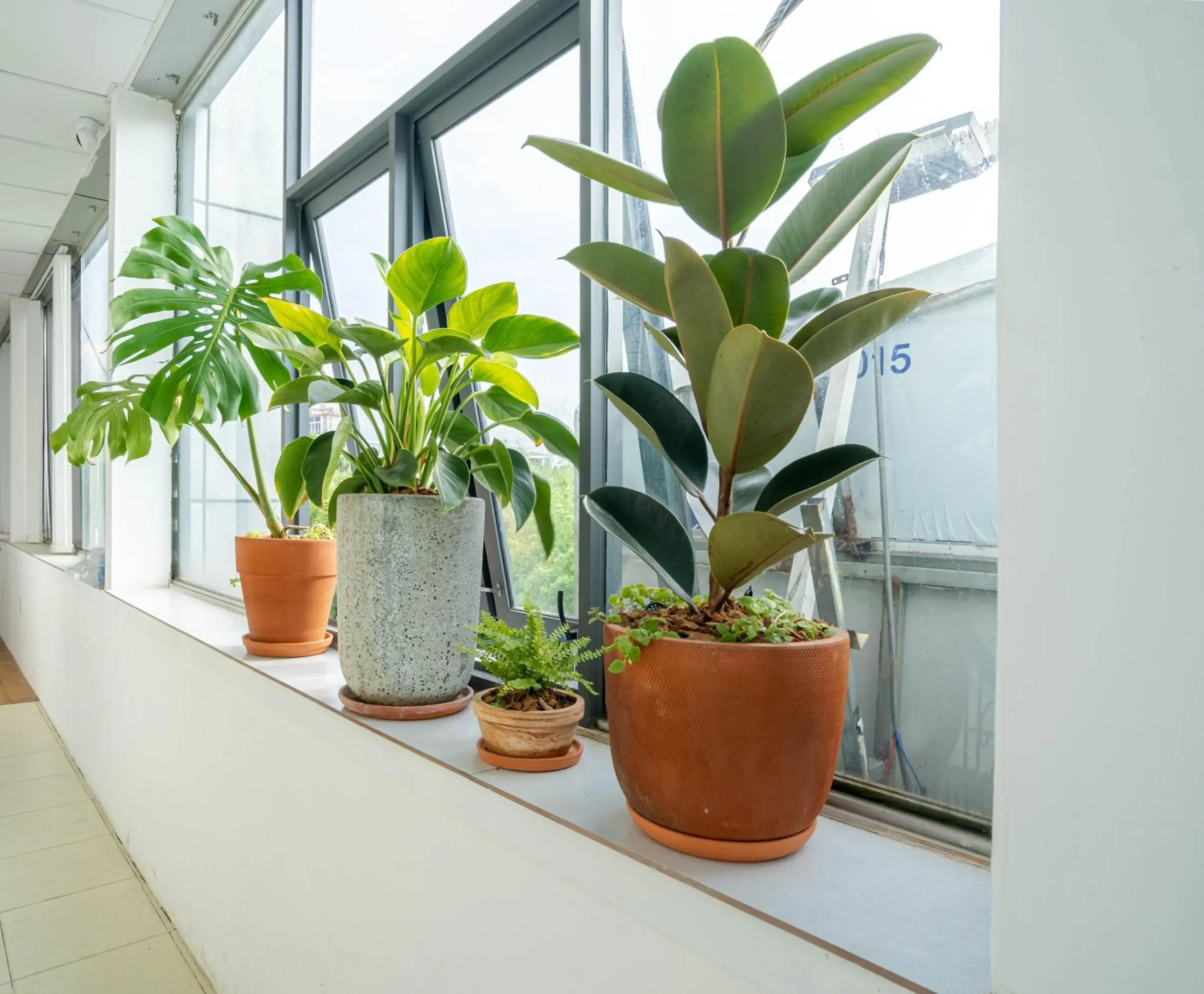 Superior Apartment - single occupancy in LalaHouse Summer Park Superior Apartment - single occupancy in LalaHouse Summer Park