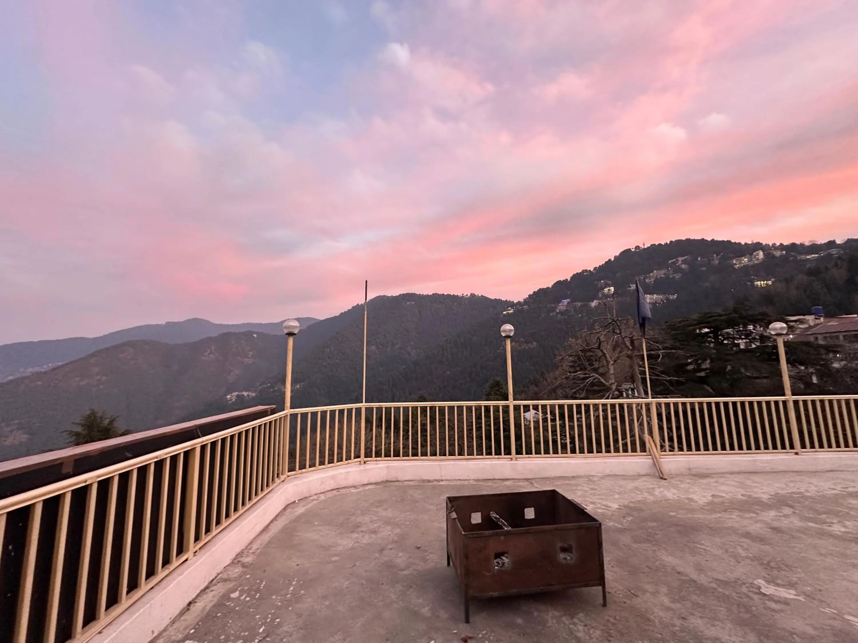 Day in Western Nest International