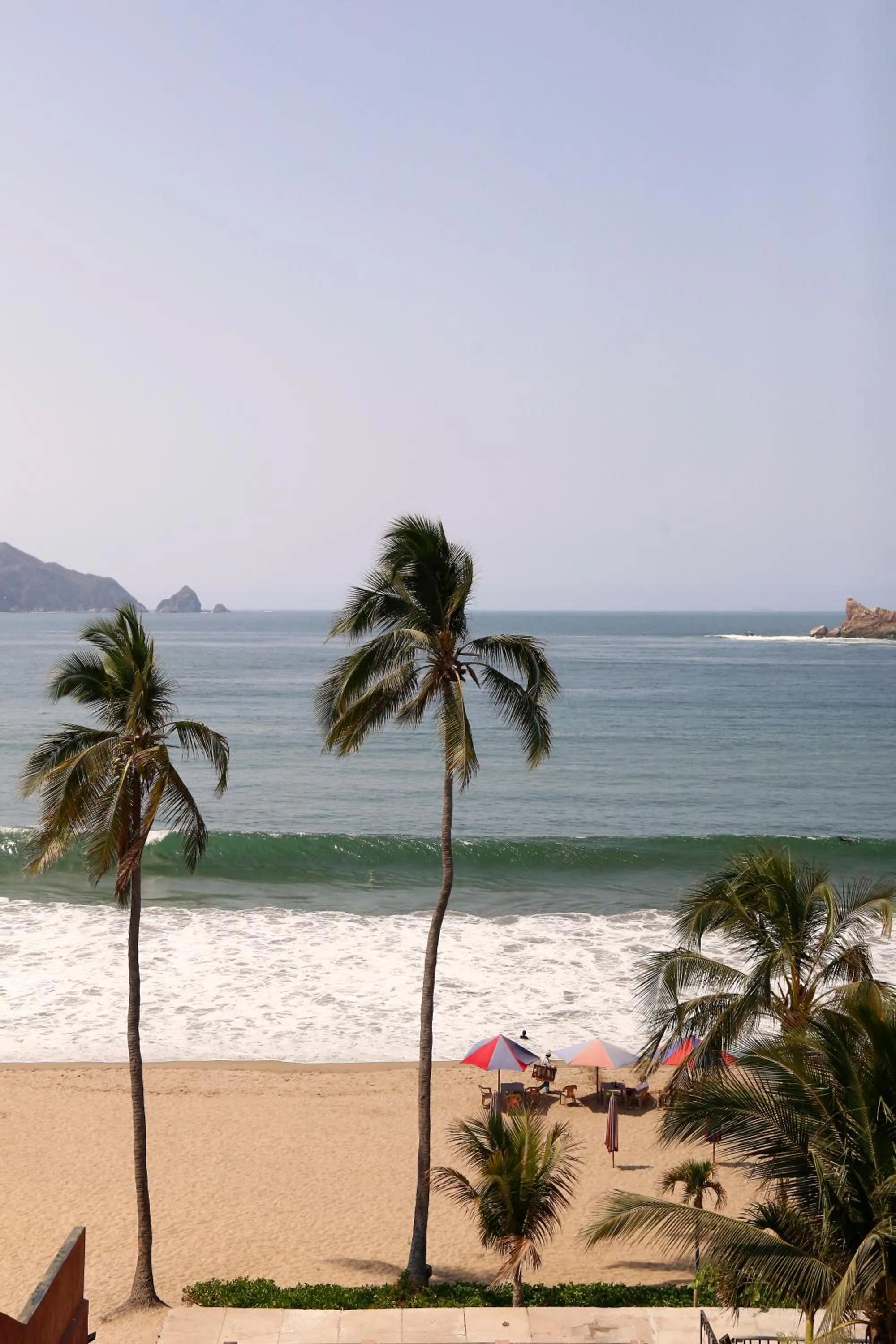 Beach in HOTEL AURELIA