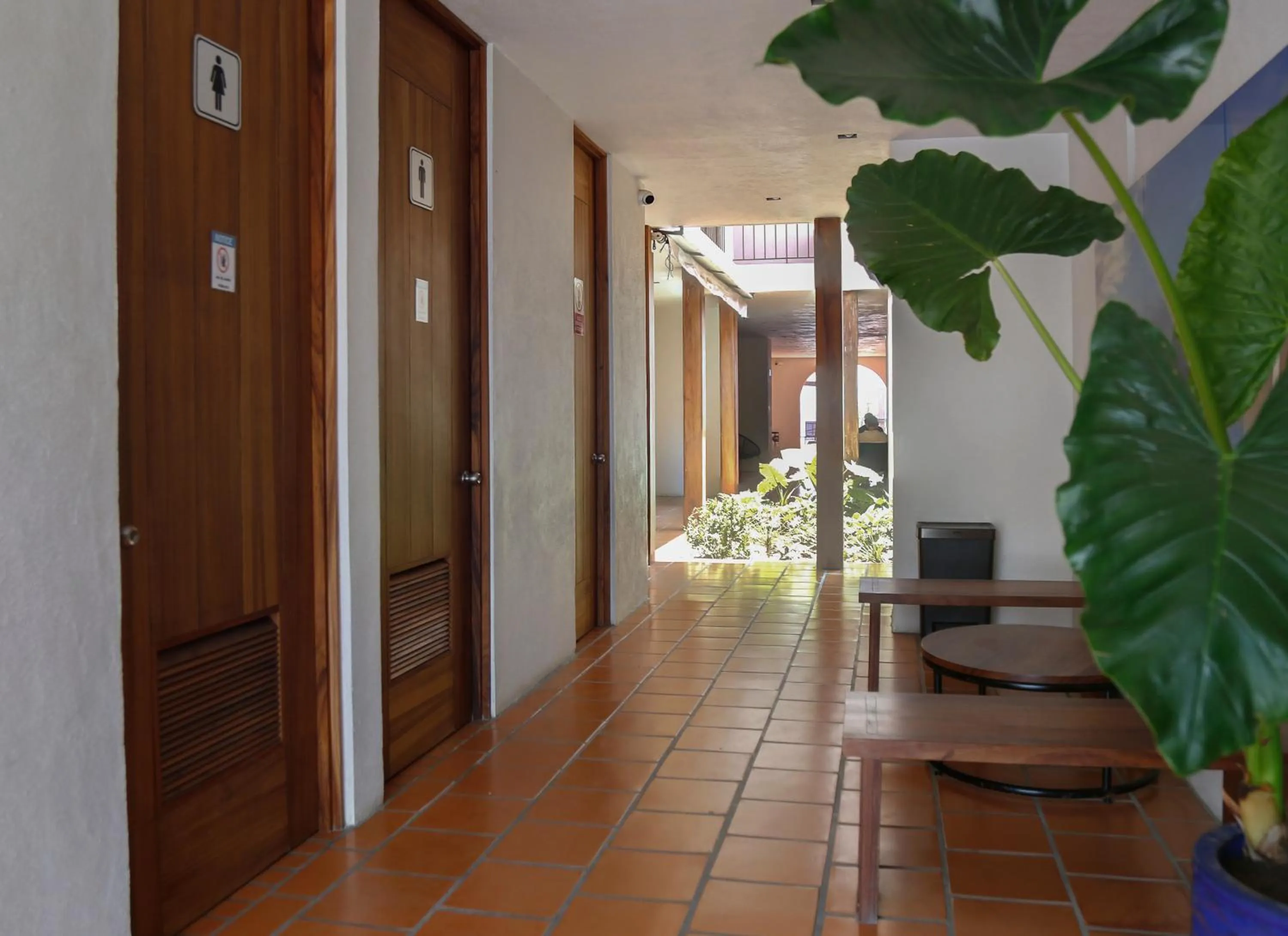 View (from property/room) in HOTEL AURELIA